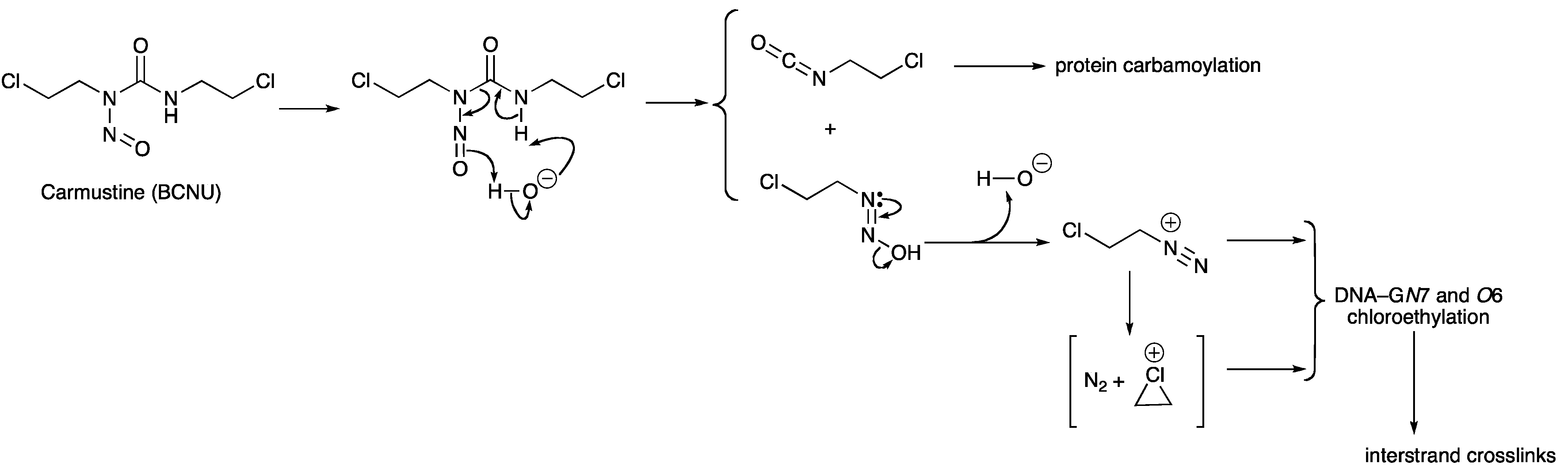 Pharmaceuticals 06 01475 g004
