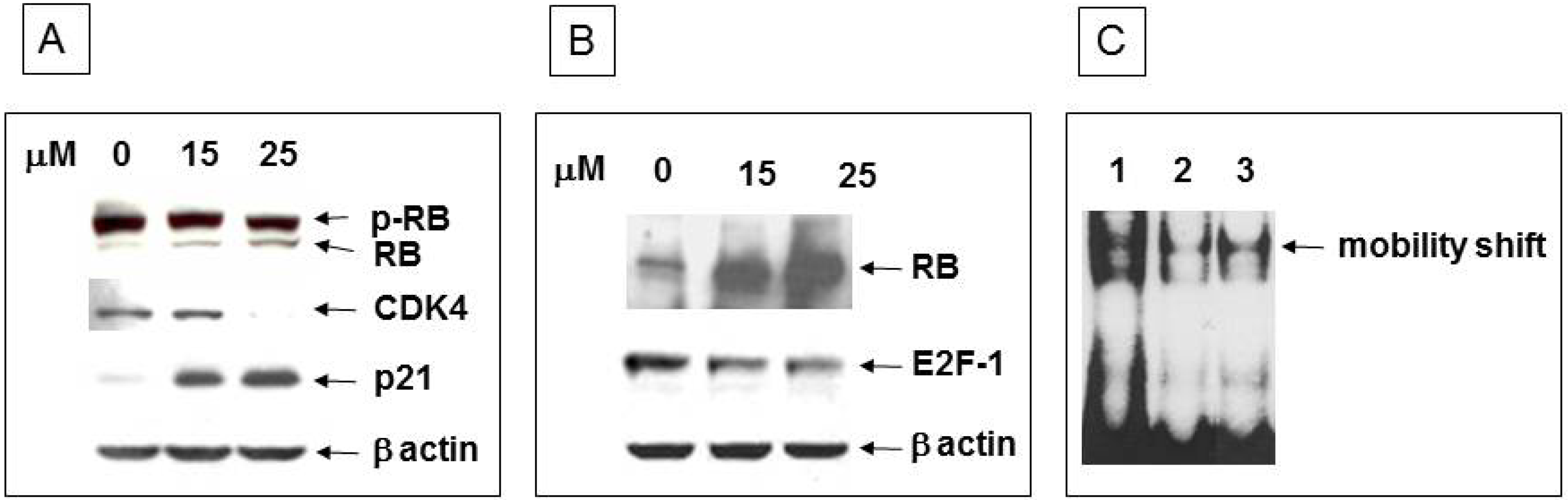 Pharmaceuticals 07 00046 g004 1024