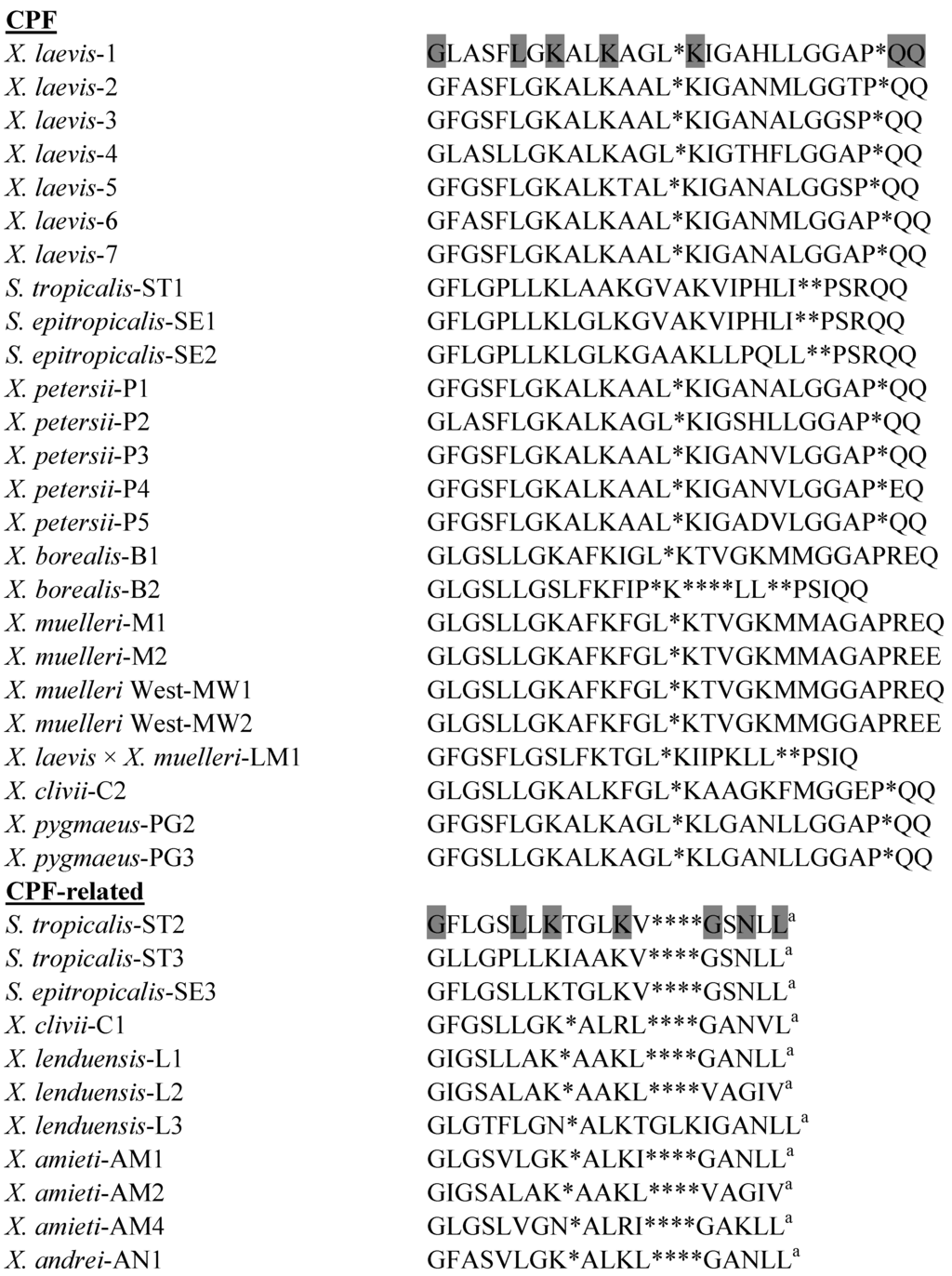 caerulein precursor fragment 3 caerulein precursor fragment 3