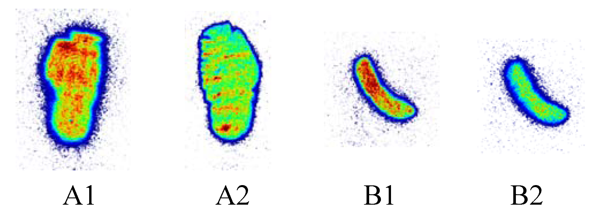 Pharmaceuticals 07 00339 g001 1024
