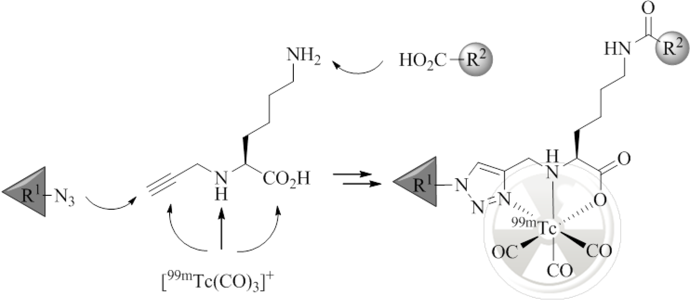 Pharmaceuticals 07 00662 g001