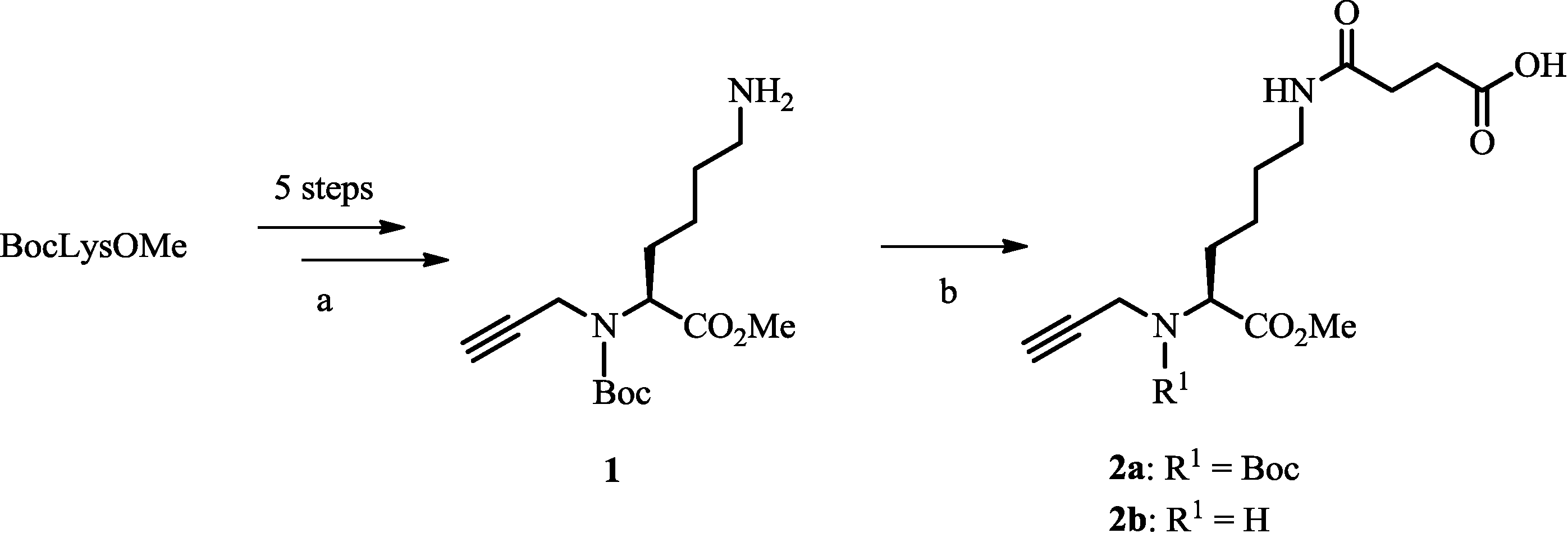 Pharmaceuticals 07 00662 g005