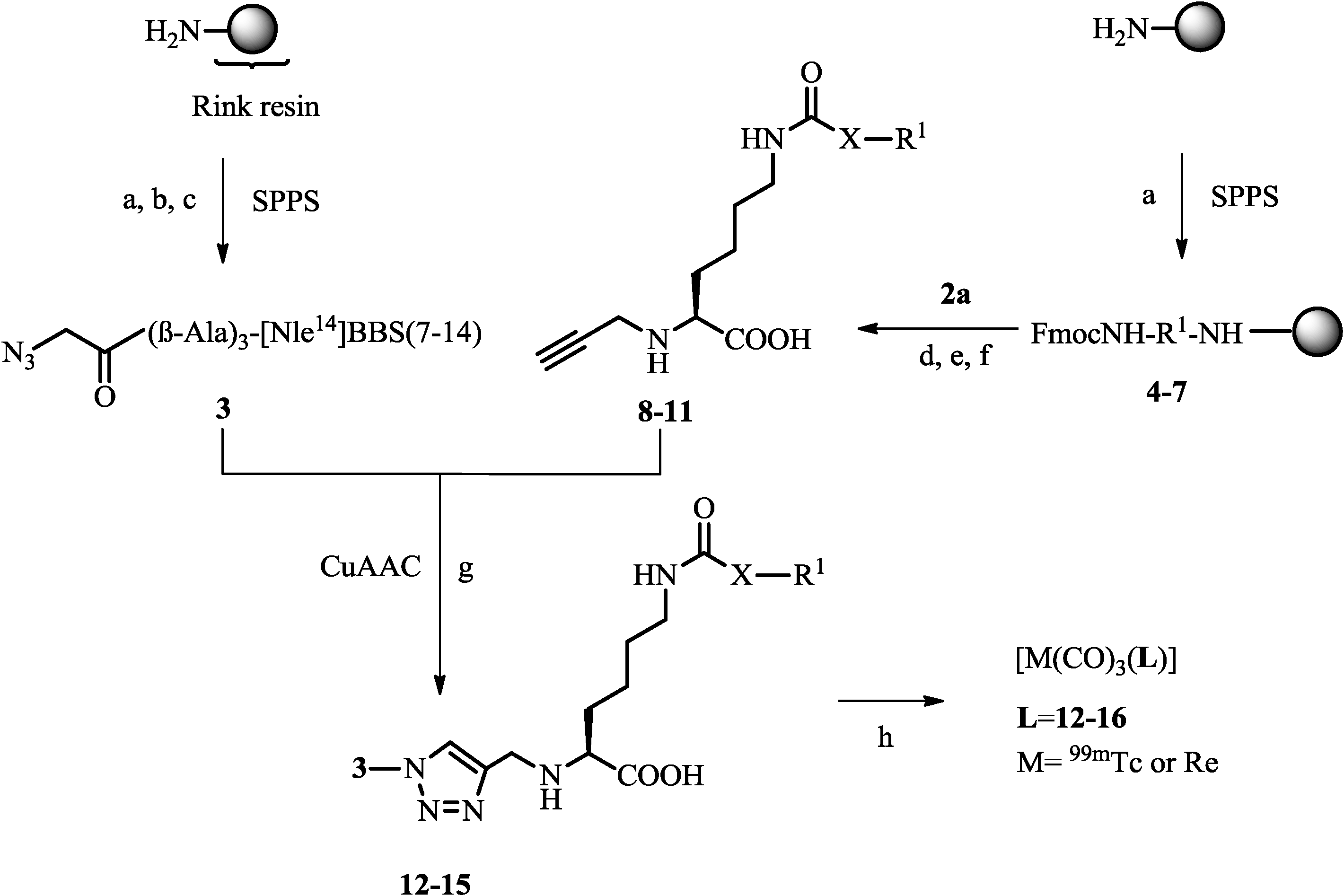 Pharmaceuticals 07 00662 g006