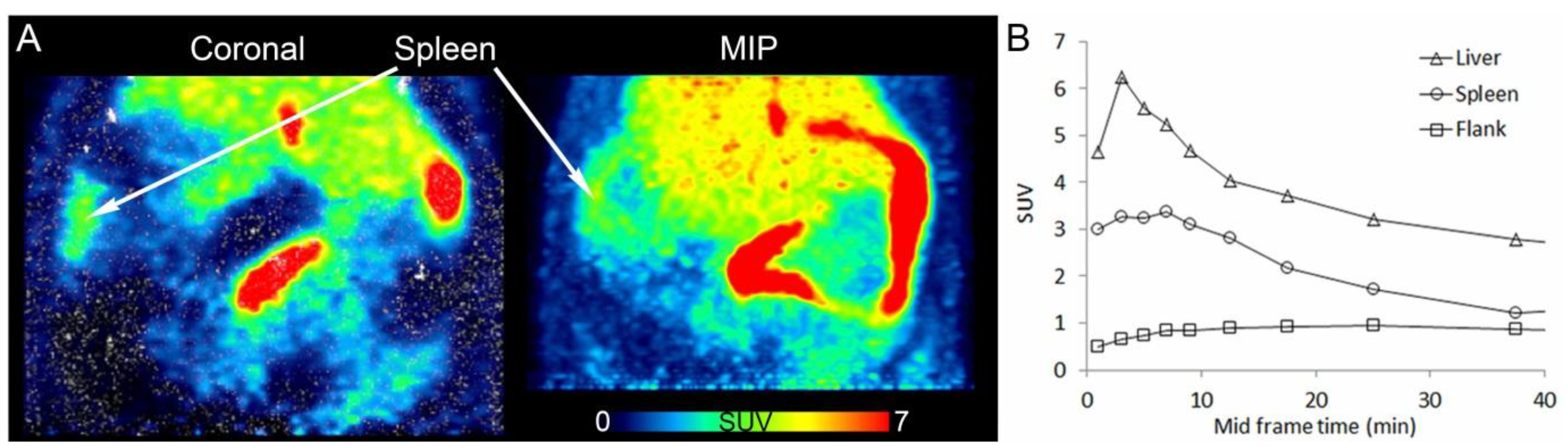 Pharmaceuticals 07 00839 g002 1024