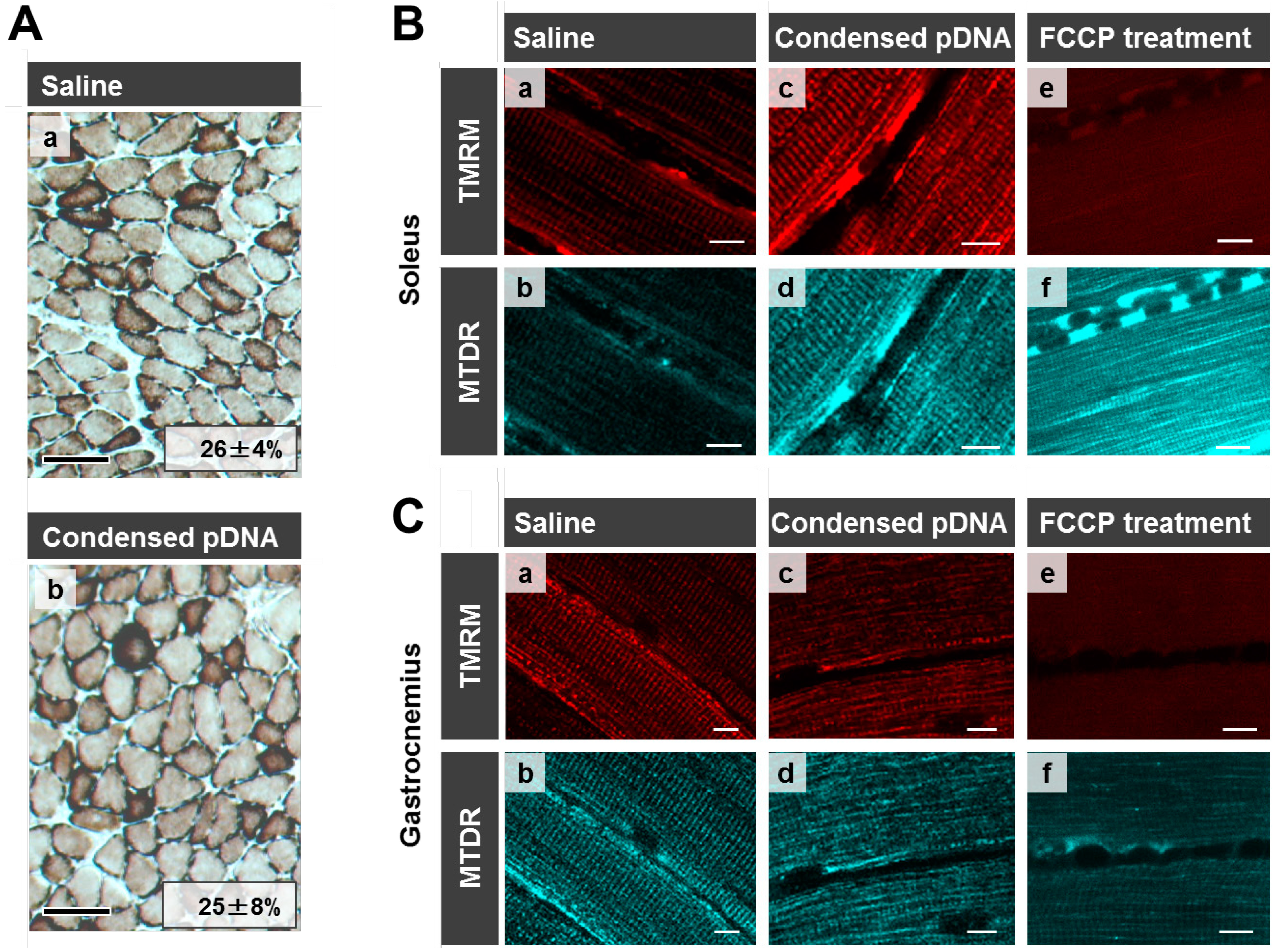 Pharmaceuticals 07 00881 g005 1024