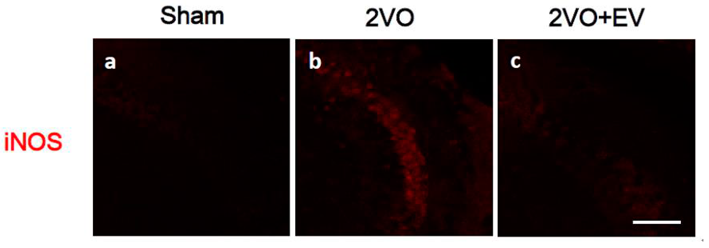 Pharmaceuticals 08 00176 g001