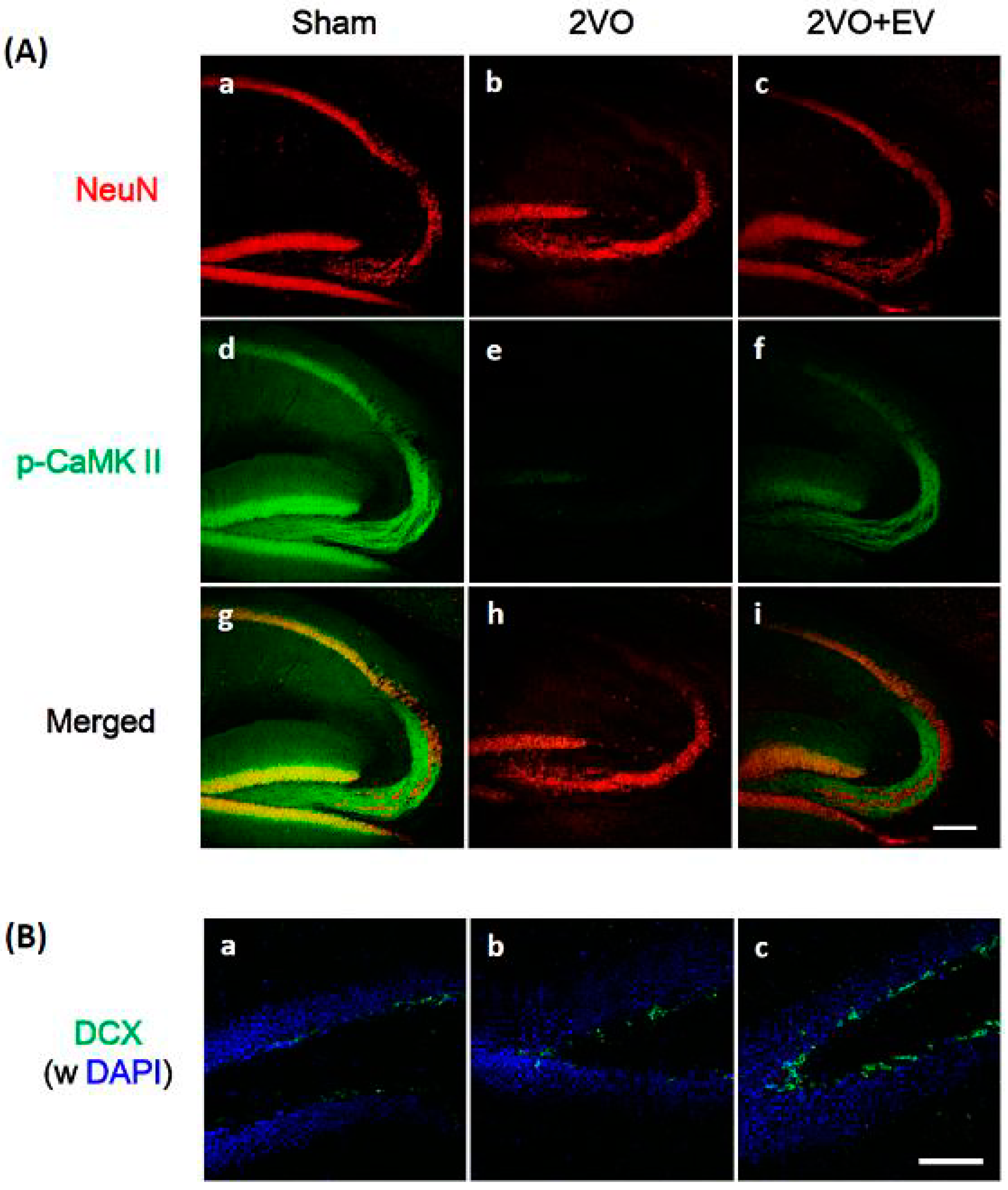 Pharmaceuticals 08 00176 g002