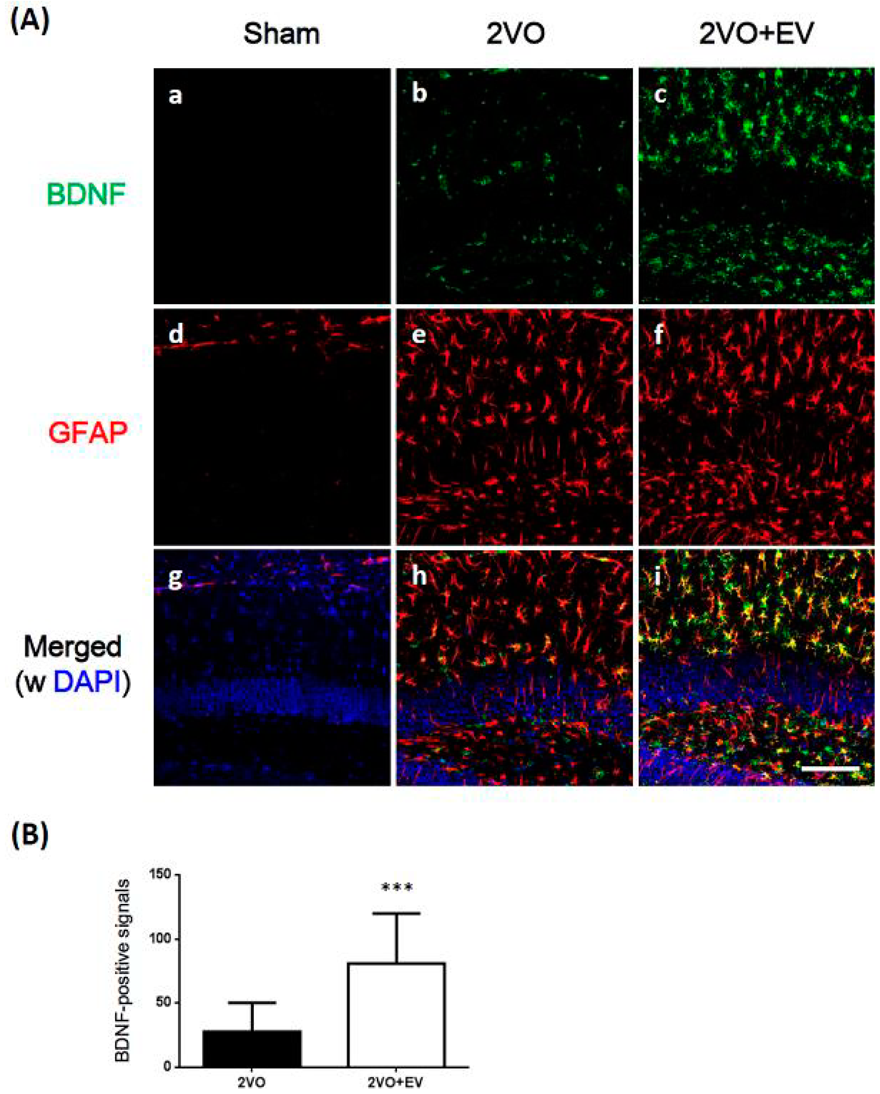 Pharmaceuticals 08 00176 g003
