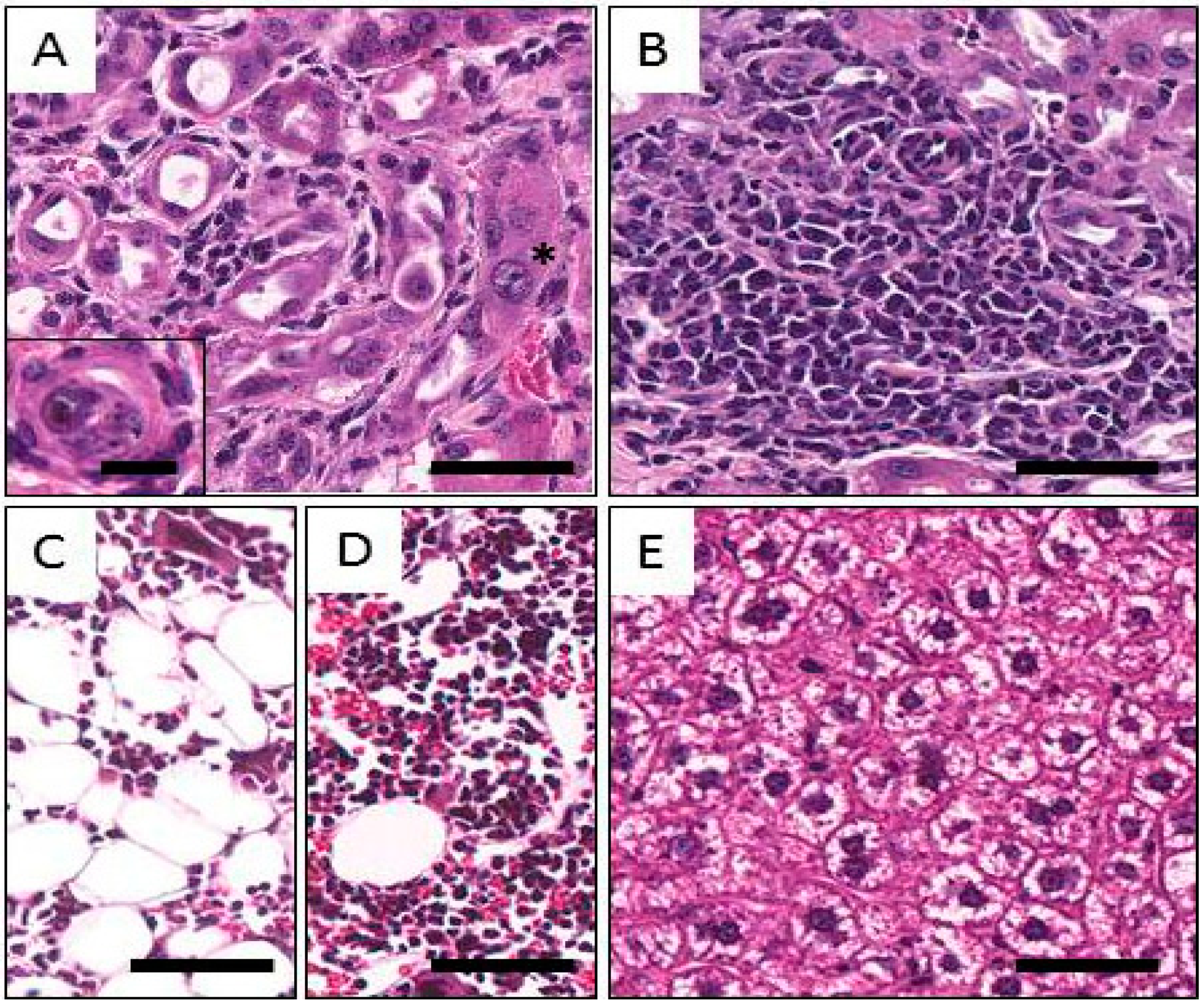 Pharmaceuticals 08 00416 g004