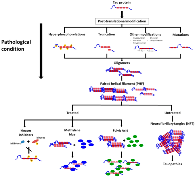 Pharmaceuticals 09 00001 i022