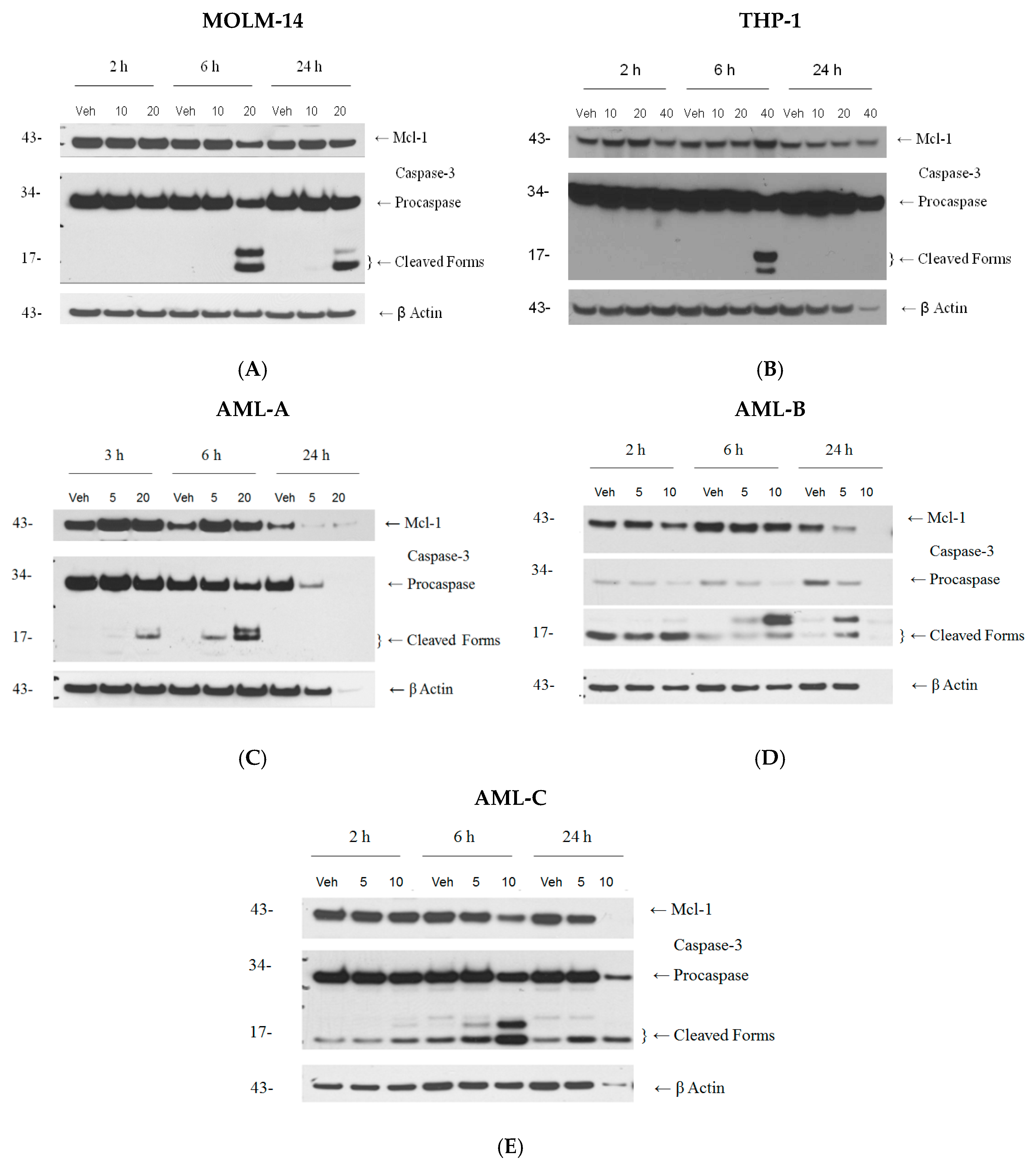 Pharmaceuticals 09 00004 g002 1024