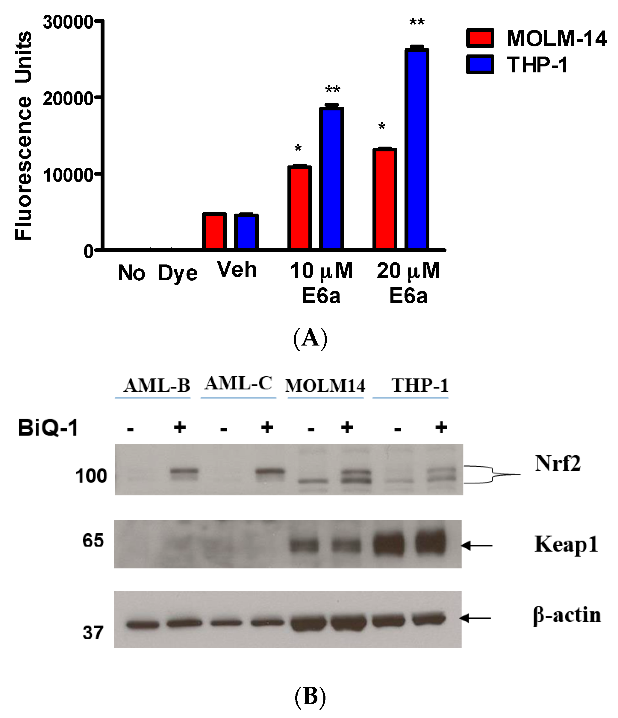 Pharmaceuticals 09 00004 g004 1024
