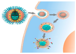 Pharmaceuticals 09 00015 i003