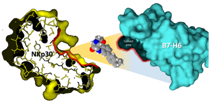 Pharmaceuticals 09 00015 i039