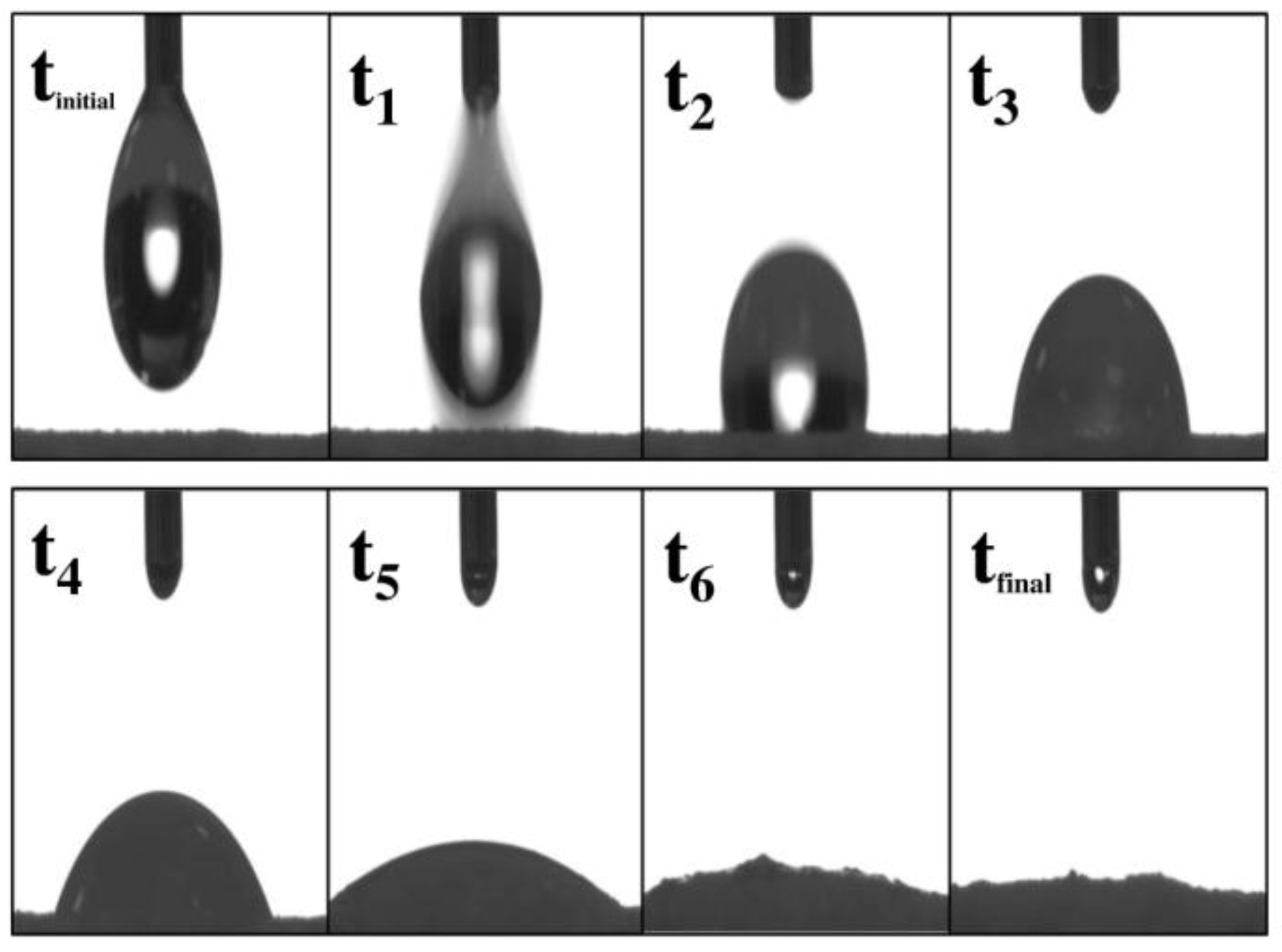 Pharmaceuticals 09 00034 g006