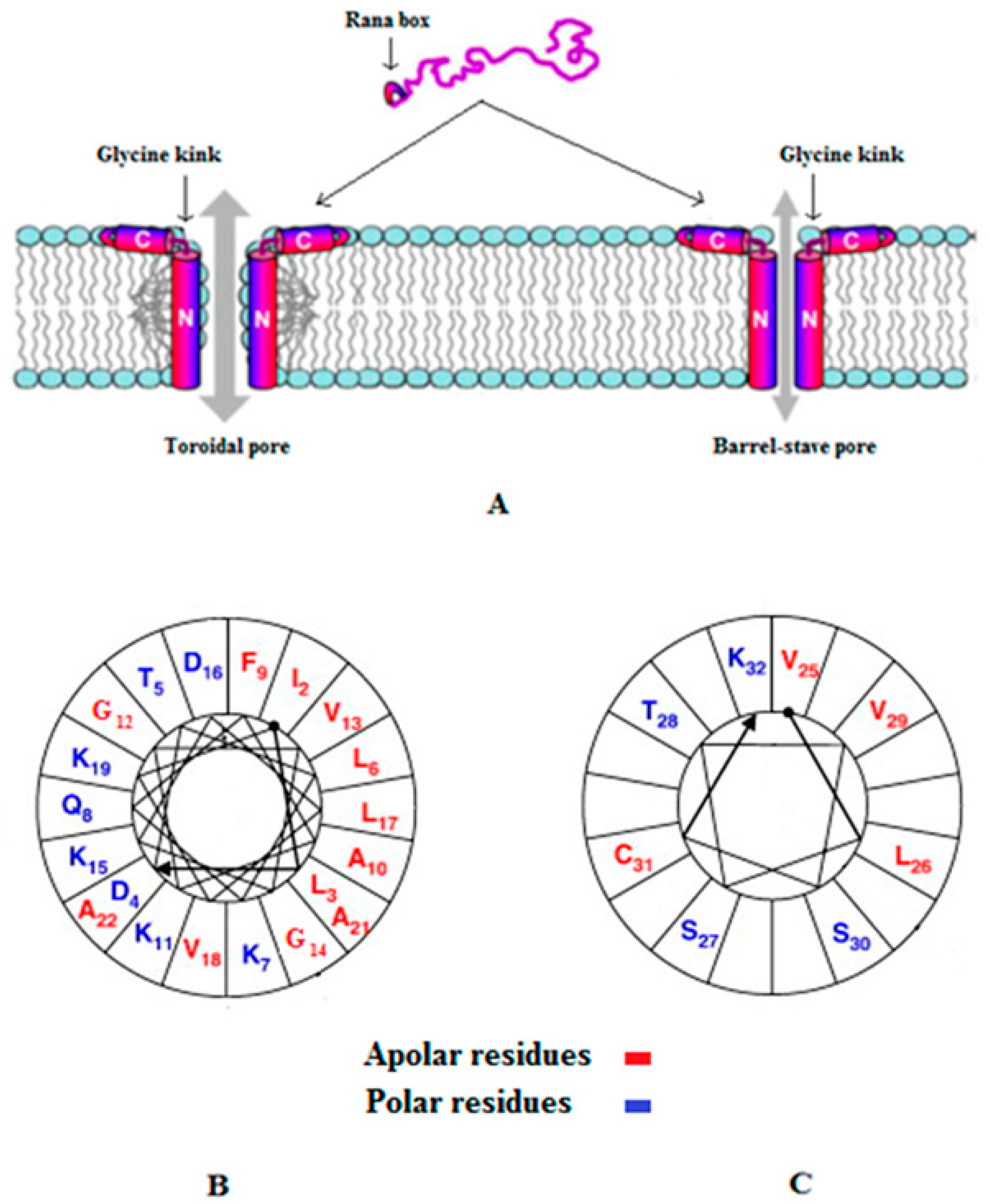 Pharmaceuticals Free Full-Text pH Dependent Antimicrobial Peptides and Proteins, Their Mechanisms of Action and Potential as Therapeutic Agents pic