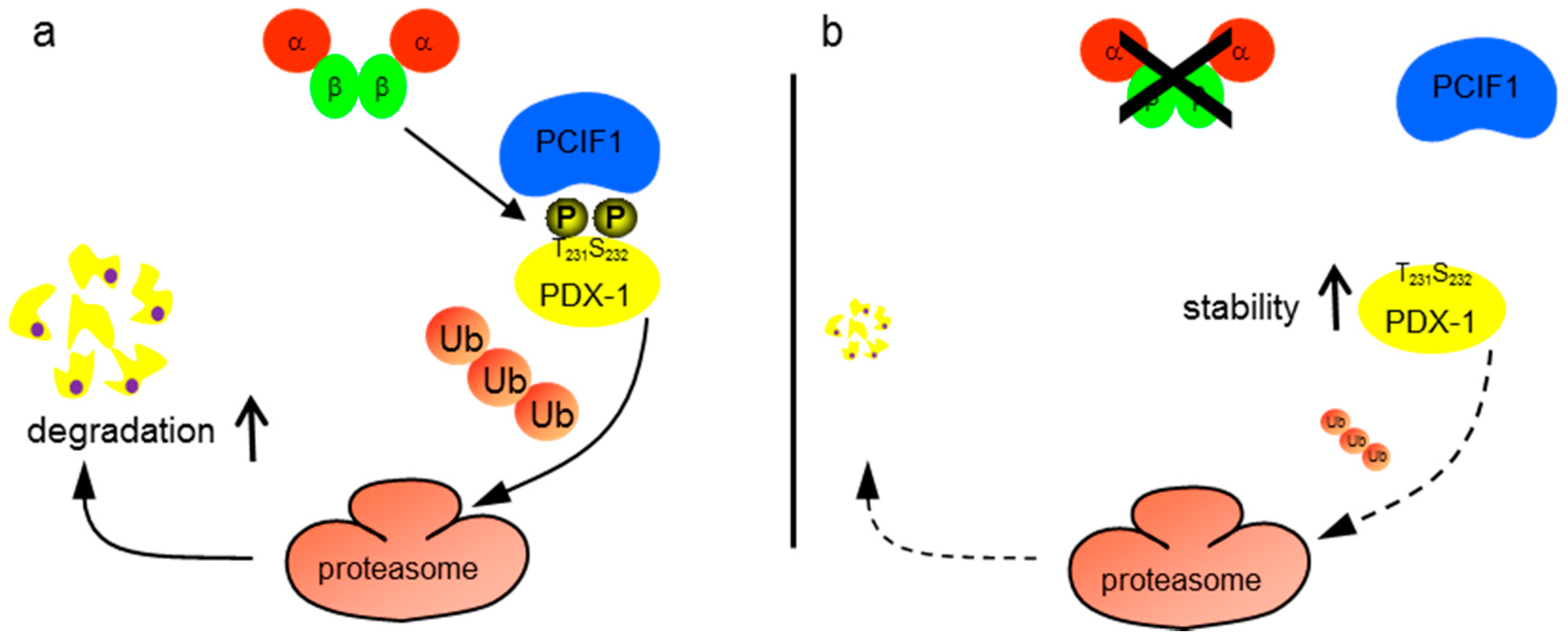 Pharmaceuticals 10 00002 g005 550