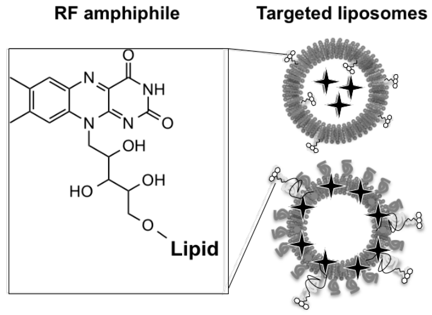 Pharmaceuticals 10 00017 i002