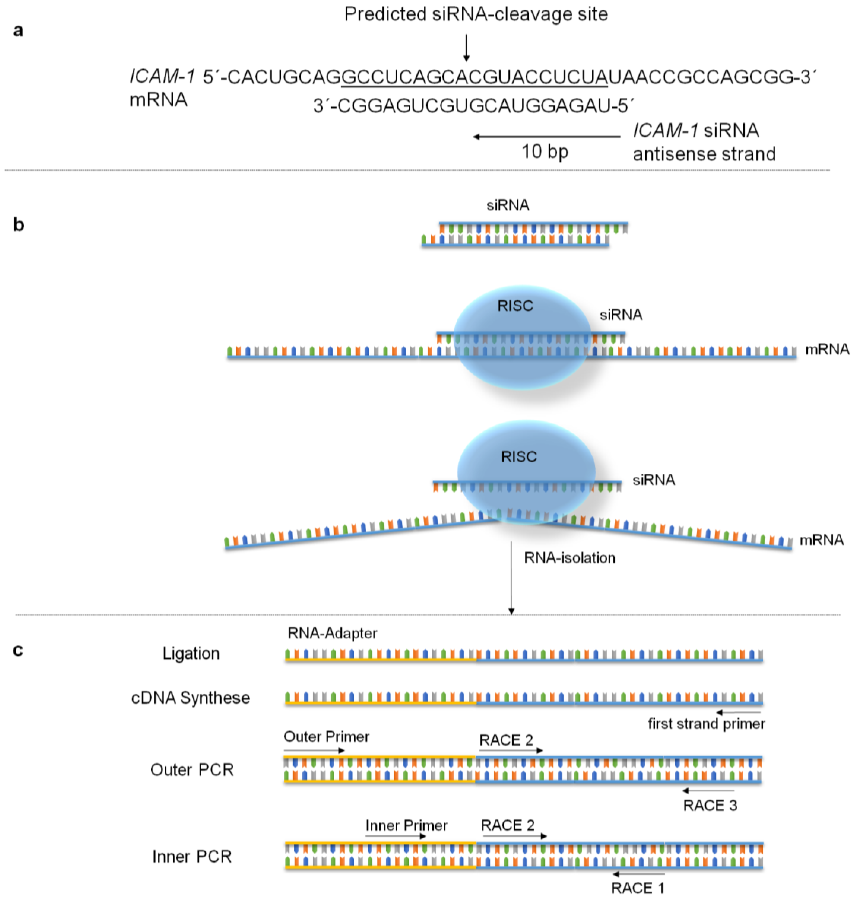 Pharmaceuticals 10 00023 g009 550