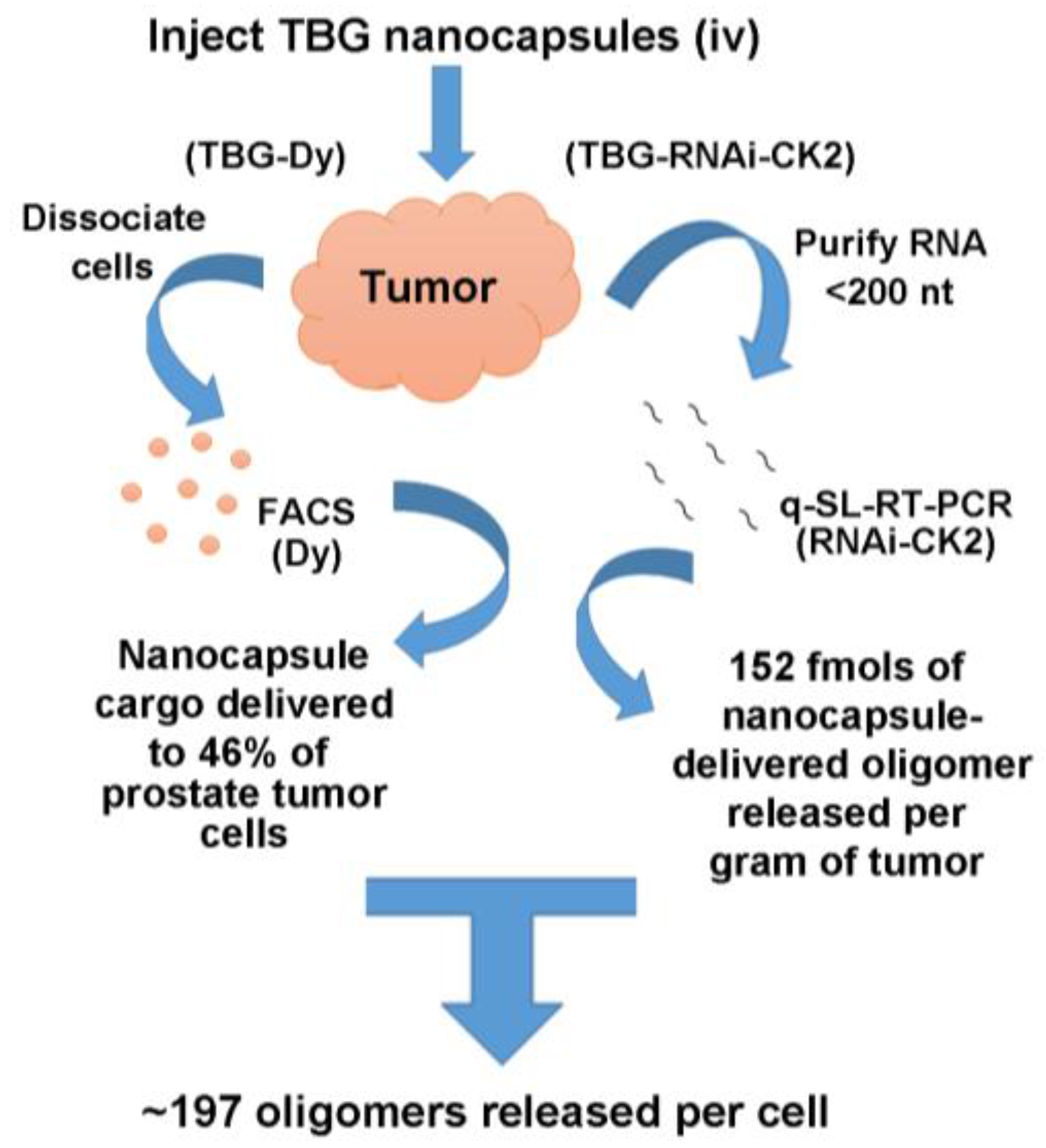 Pharmaceuticals 10 00025 g004