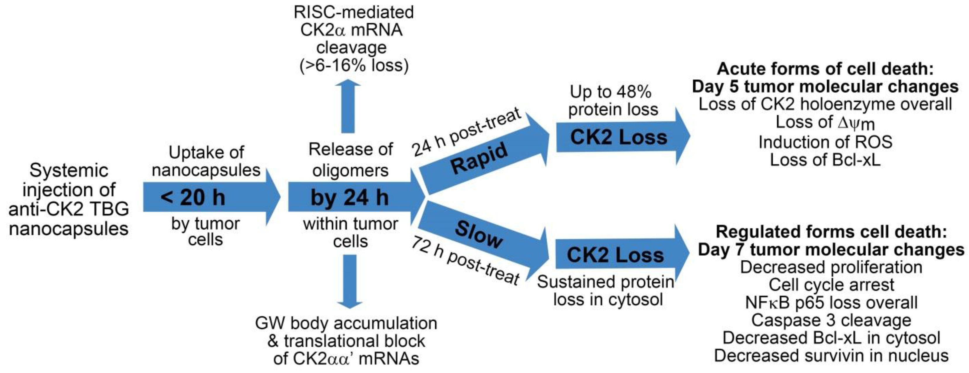 Pharmaceuticals 10 00025 g005