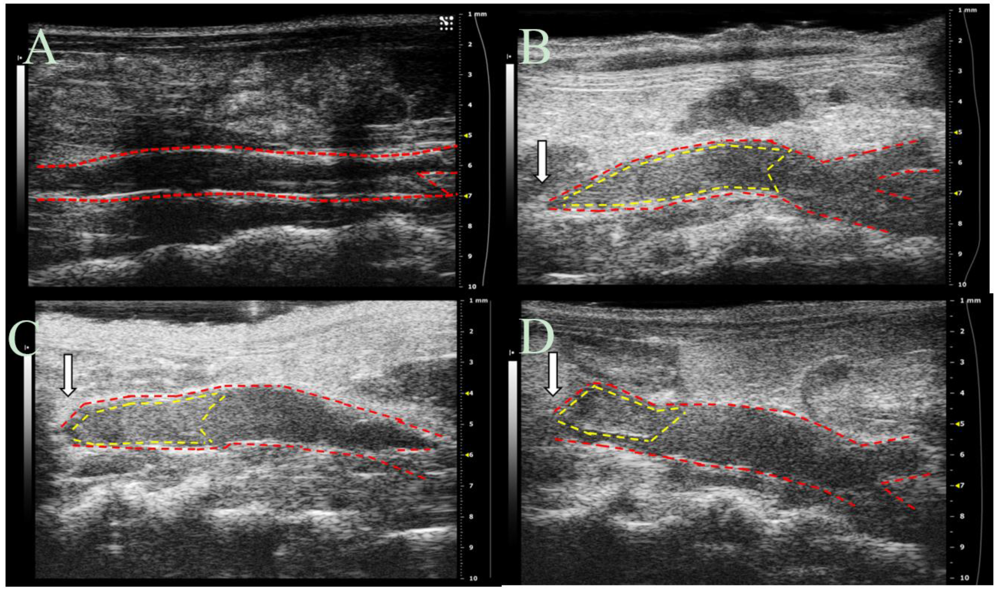 Pharmaceuticals 10 00036 g009 550