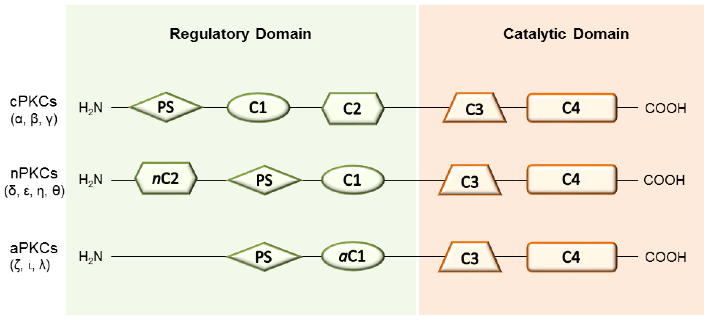 Pharmaceuticals 10 00046 g001 Pharmaceuticals 10 00046 g001