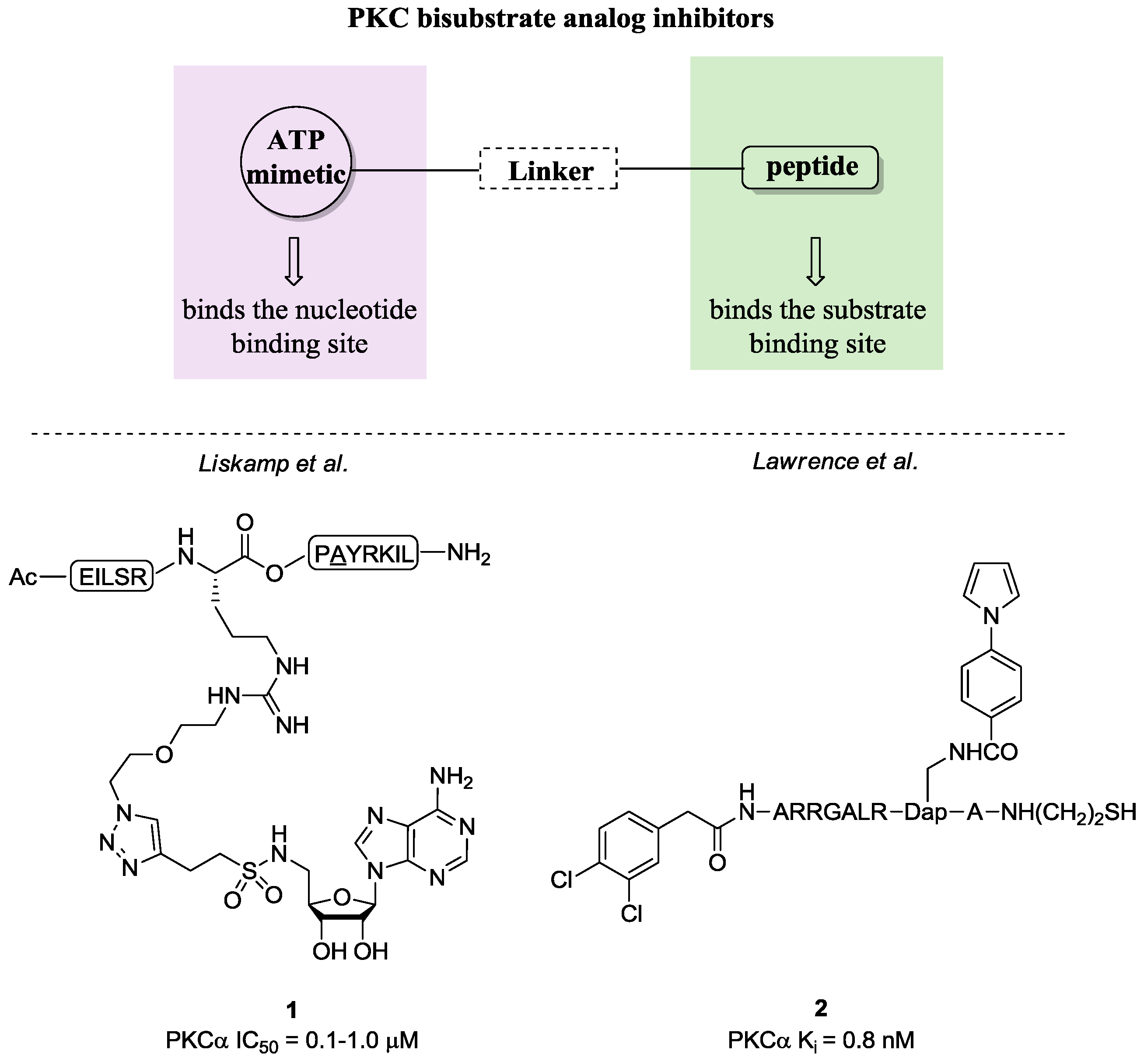 Pharmaceuticals 10 00046 g006 Pharmaceuticals 10 00046 g006