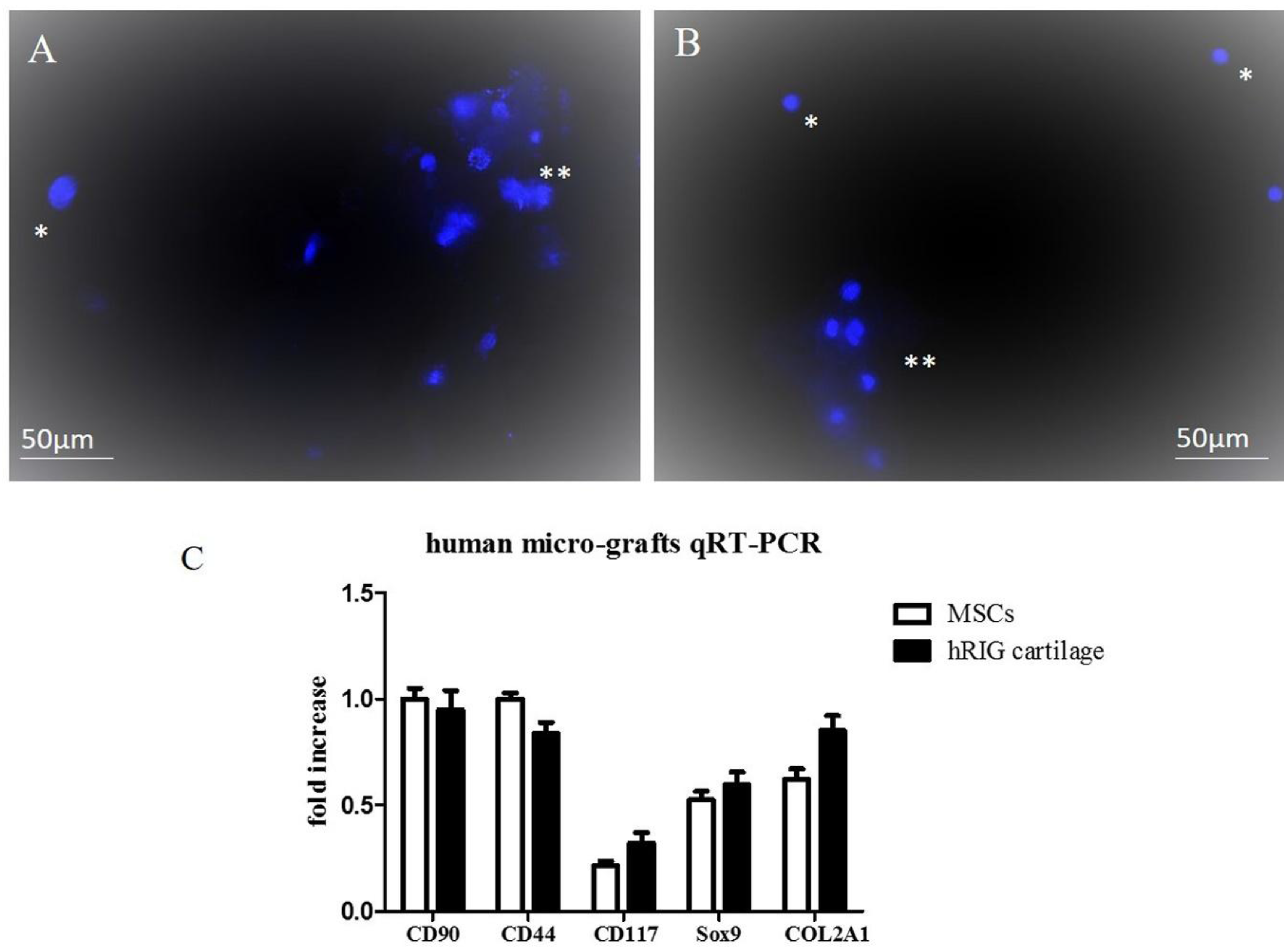 Pharmaceuticals 10 00053 g002