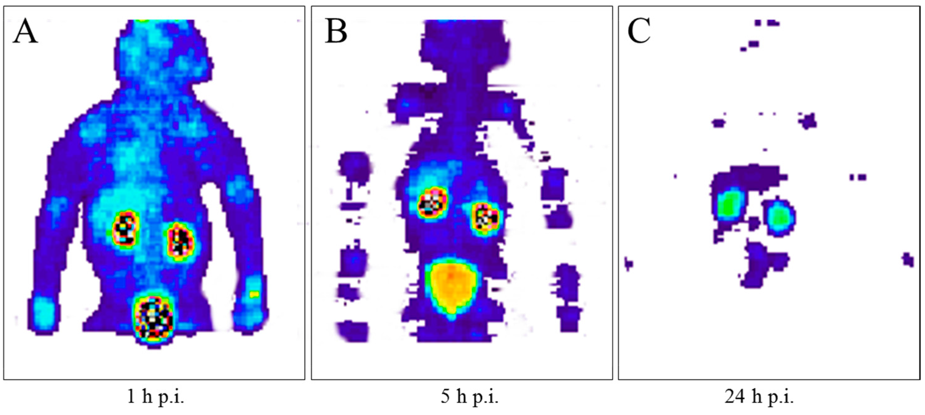 Pharmaceuticals Free Full Text The Beginning And Development Of The Theranostic Approach In Nuclear Medicine As Exemplified By The Radionuclide Pair 86y And 90y Html