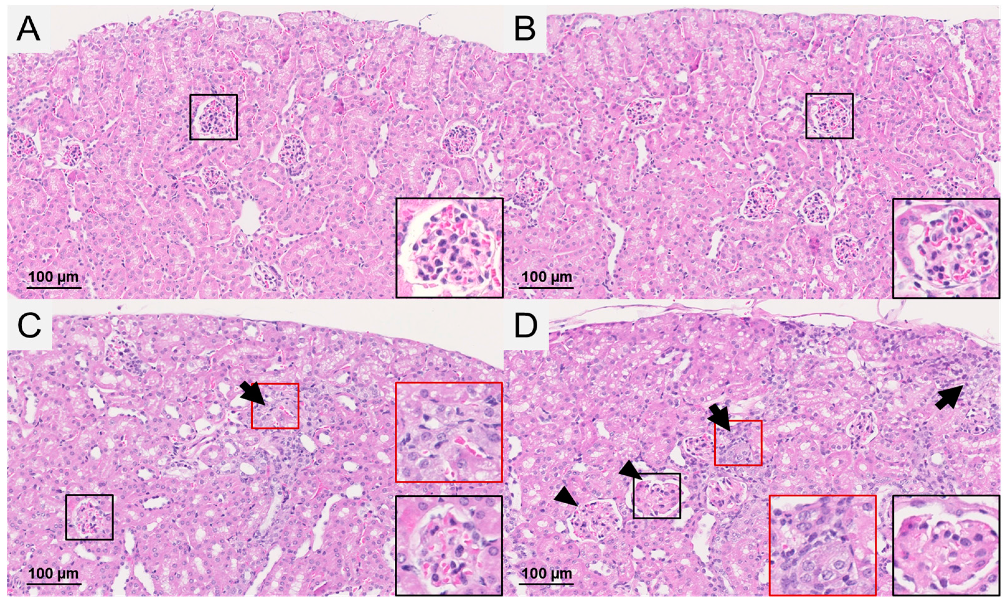 Pharmaceuticals 10 00057 g002 550