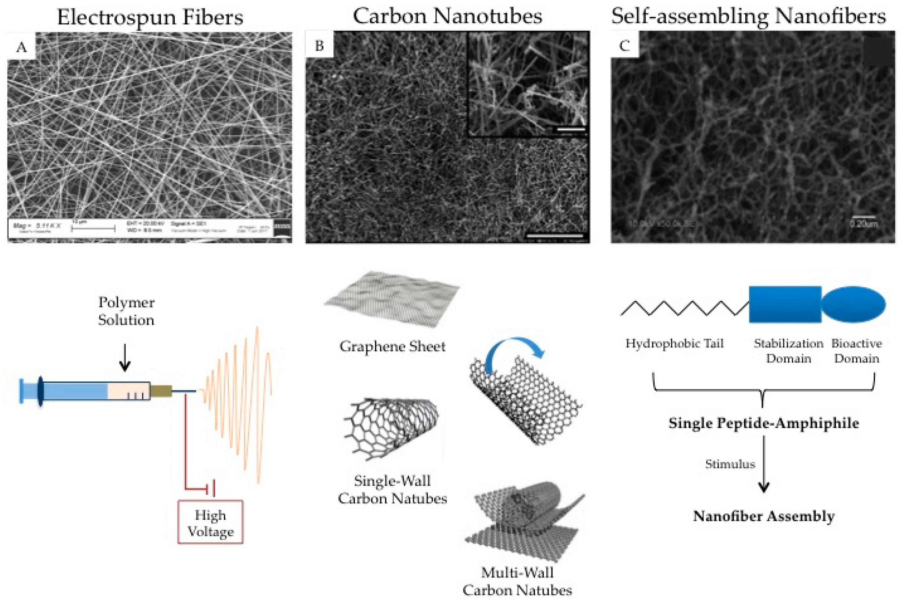 Pharmaceuticals 10 00063 g002
