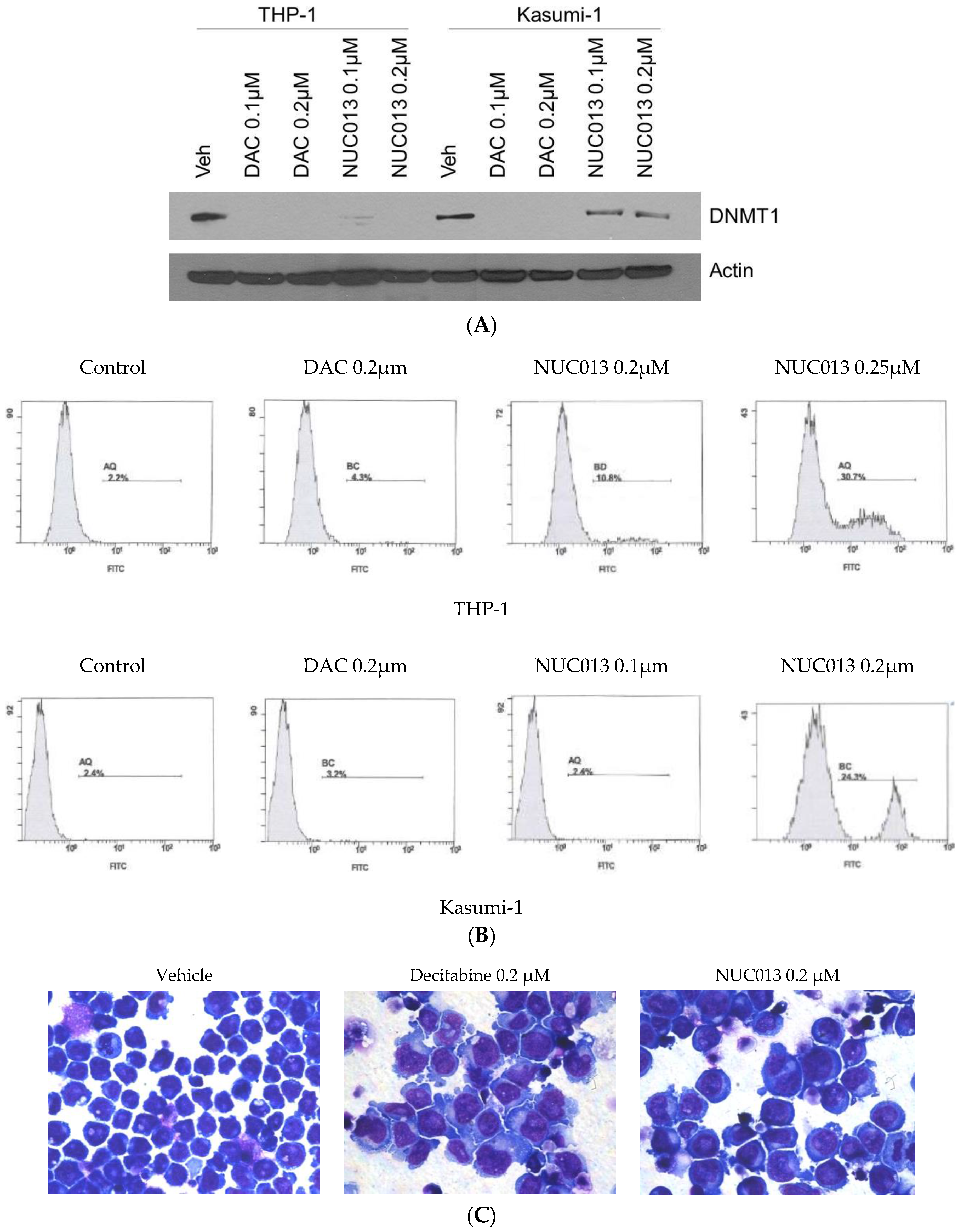 Pharmaceuticals 10 00065 g002