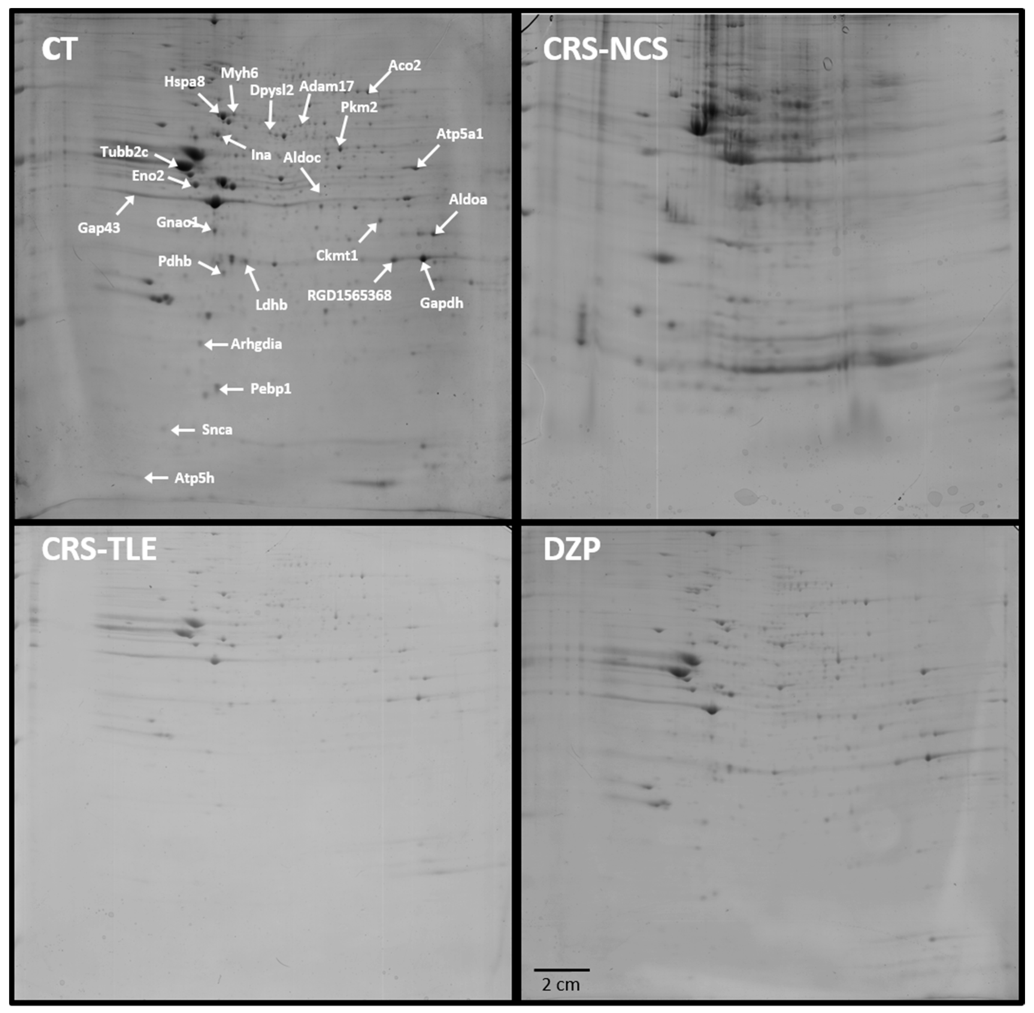 Pharmaceuticals 10 00067 g001 Pharmaceuticals 10 00067 g001