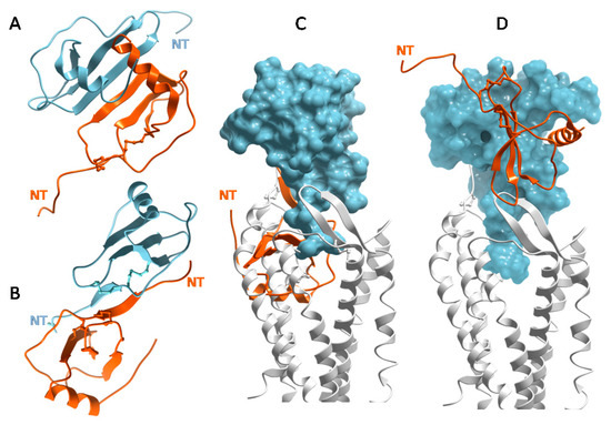 Glycosaminoglycan Interactions with Chemokines Add