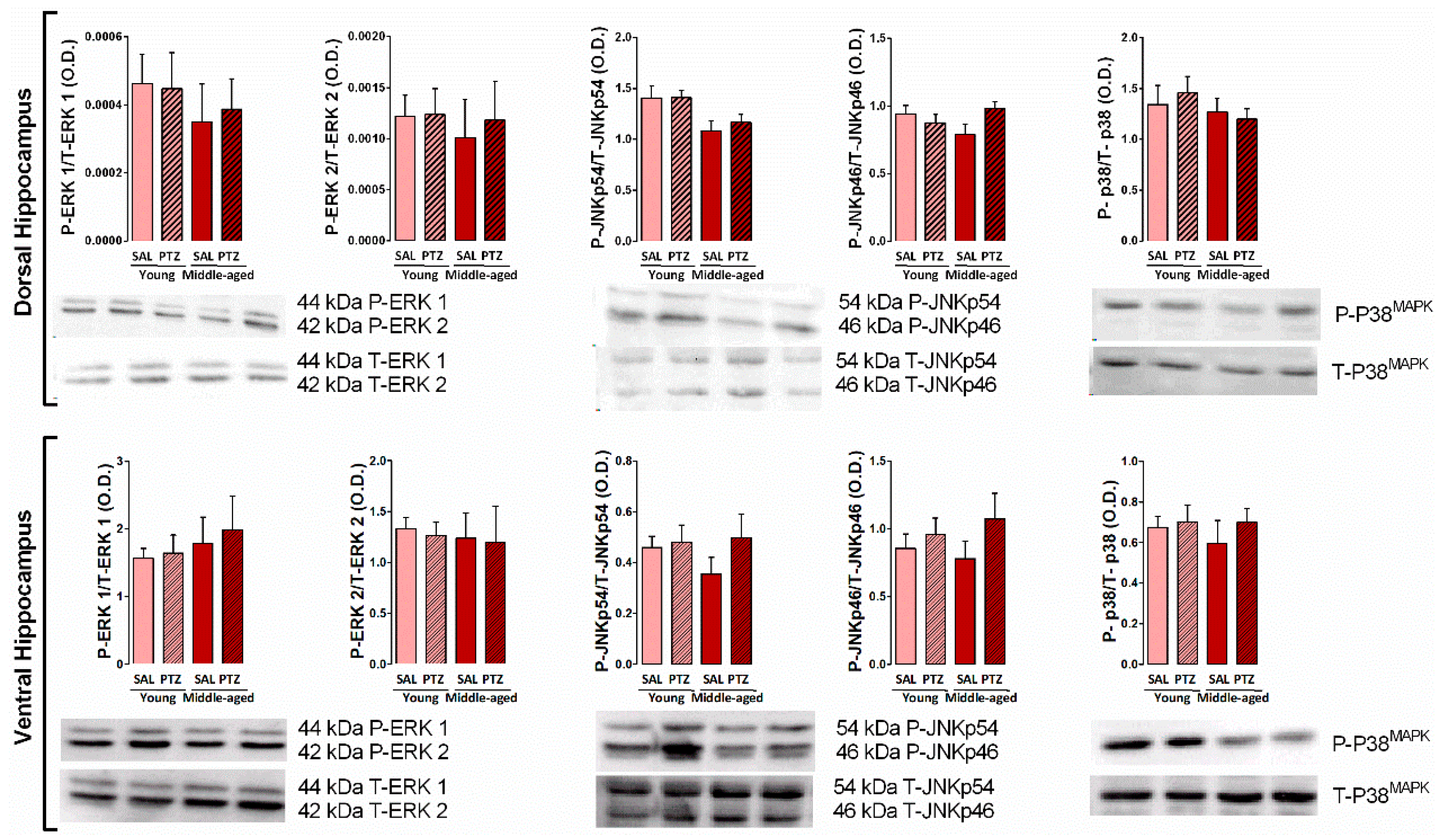 Pharmaceuticals 10 00075 g004