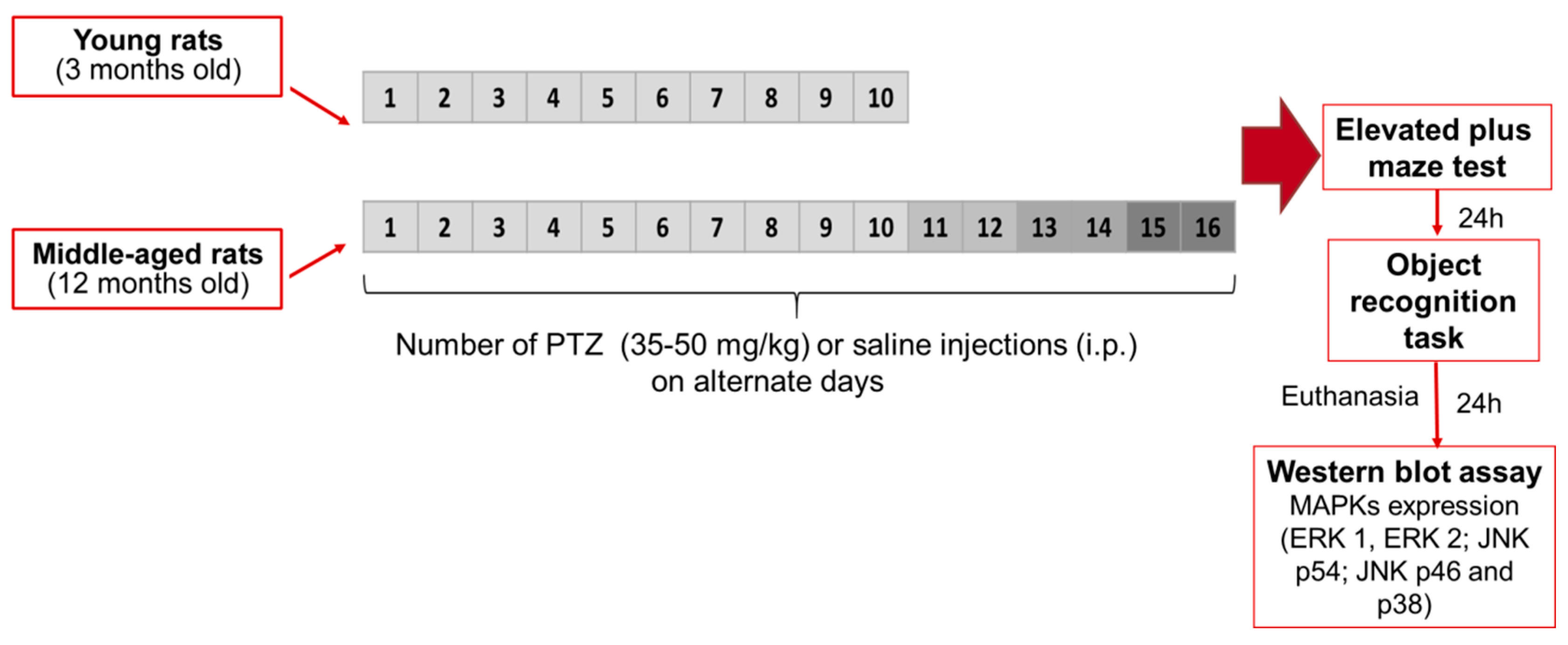 Pharmaceuticals 10 00075 g005