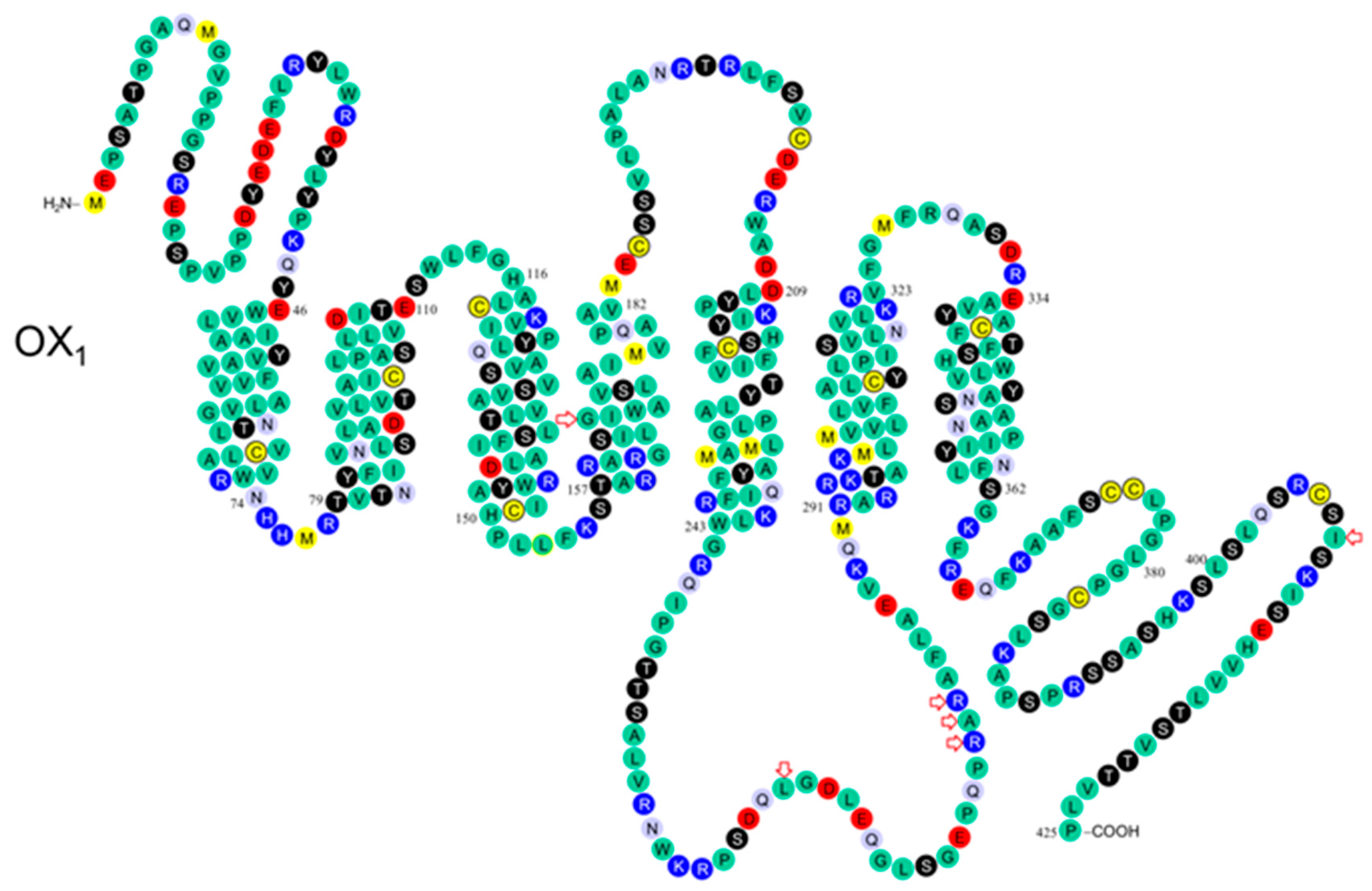 Pharmaceuticals 10 00079 g002