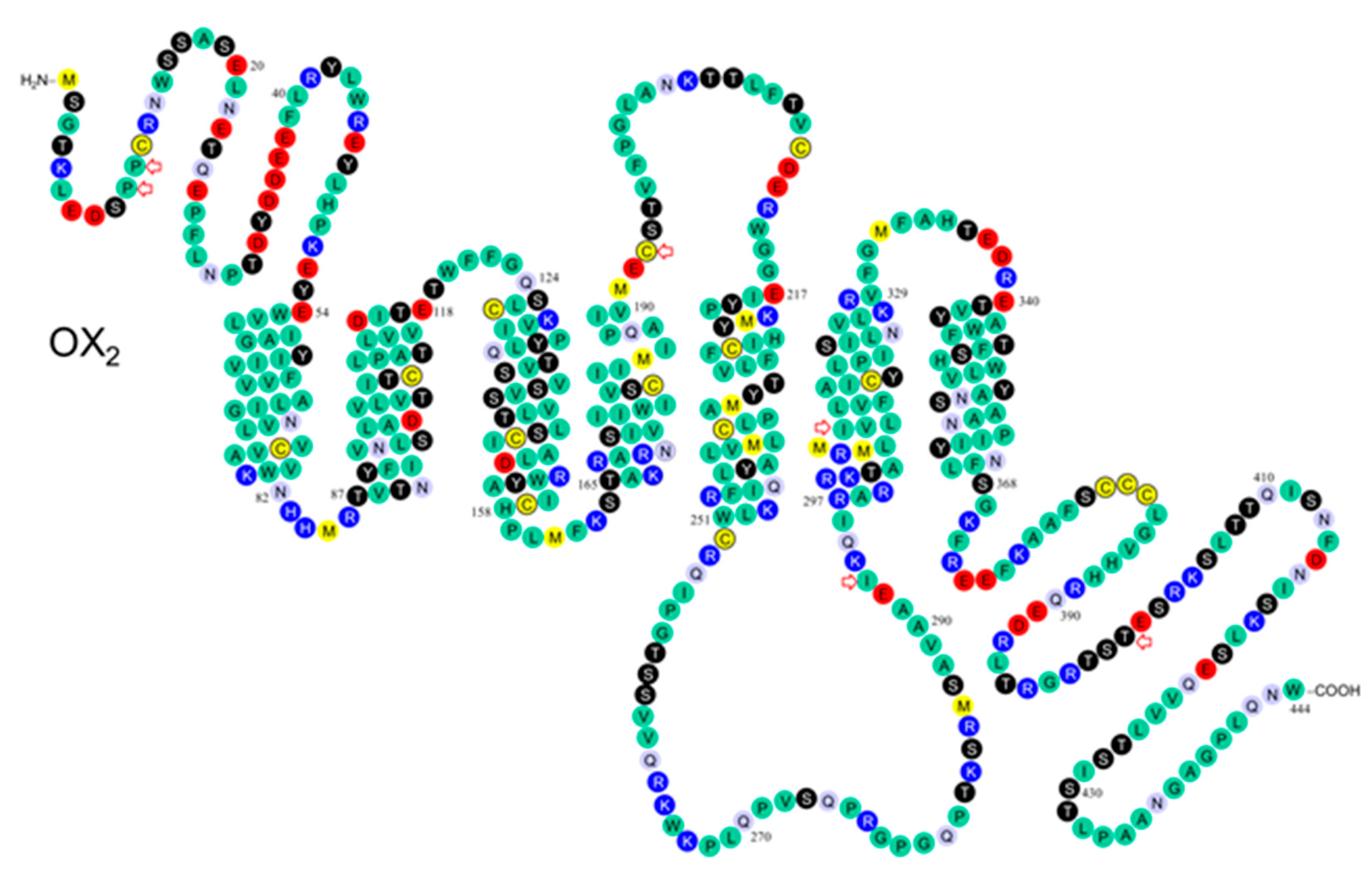Pharmaceuticals 10 00079 g003