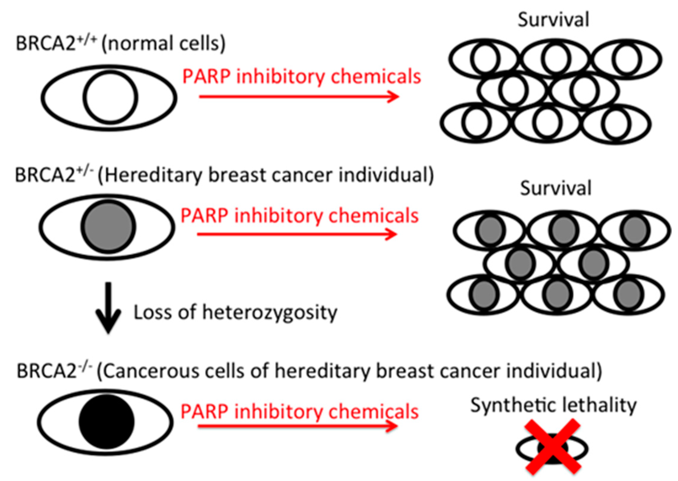 Pharmaceuticals 10 00080 g005 550