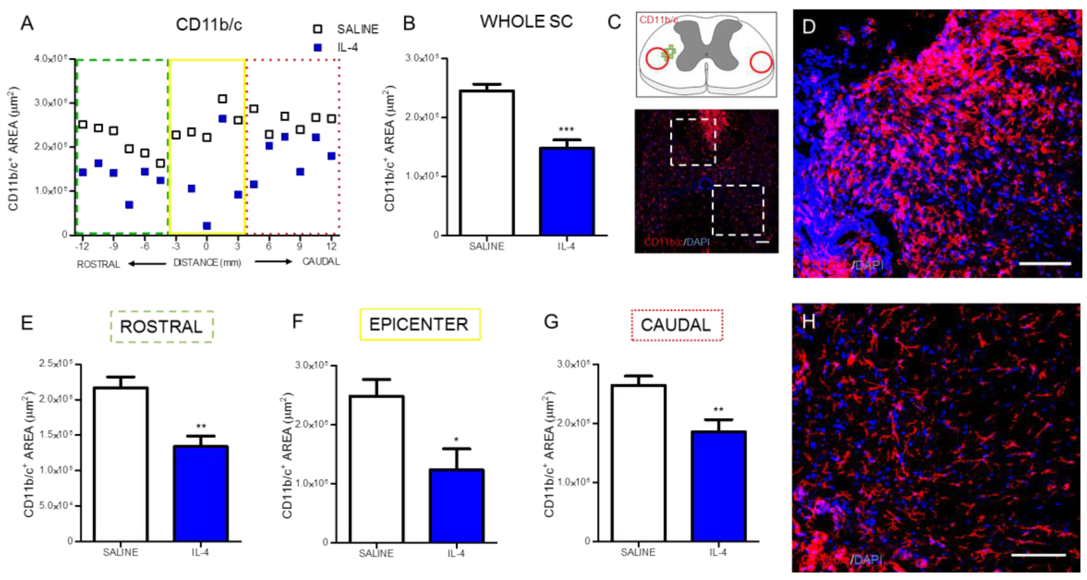 Pharmaceuticals 10 00083 g002 Pharmaceuticals 10 00083 g002