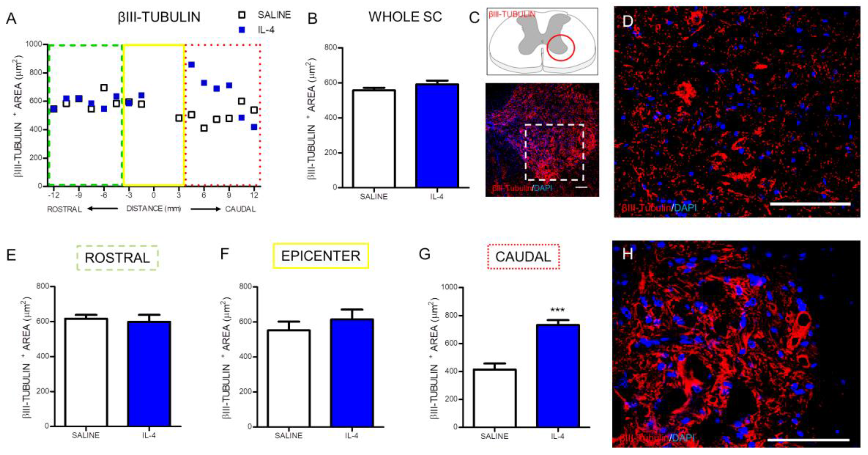 Pharmaceuticals 10 00083 g006 Pharmaceuticals 10 00083 g006