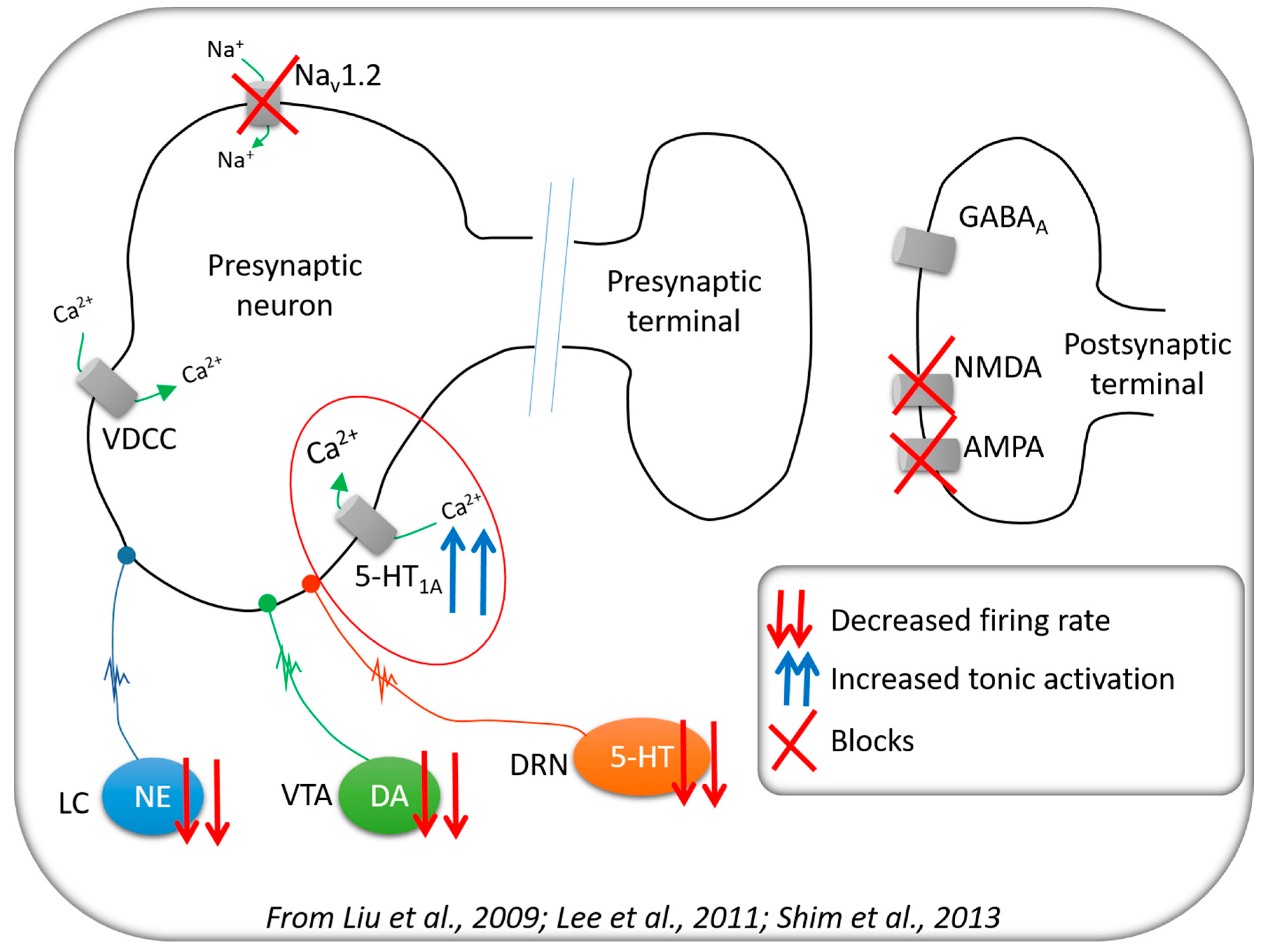 Pharmaceuticals 10 00085 g001 Pharmaceuticals 10 00085 g001