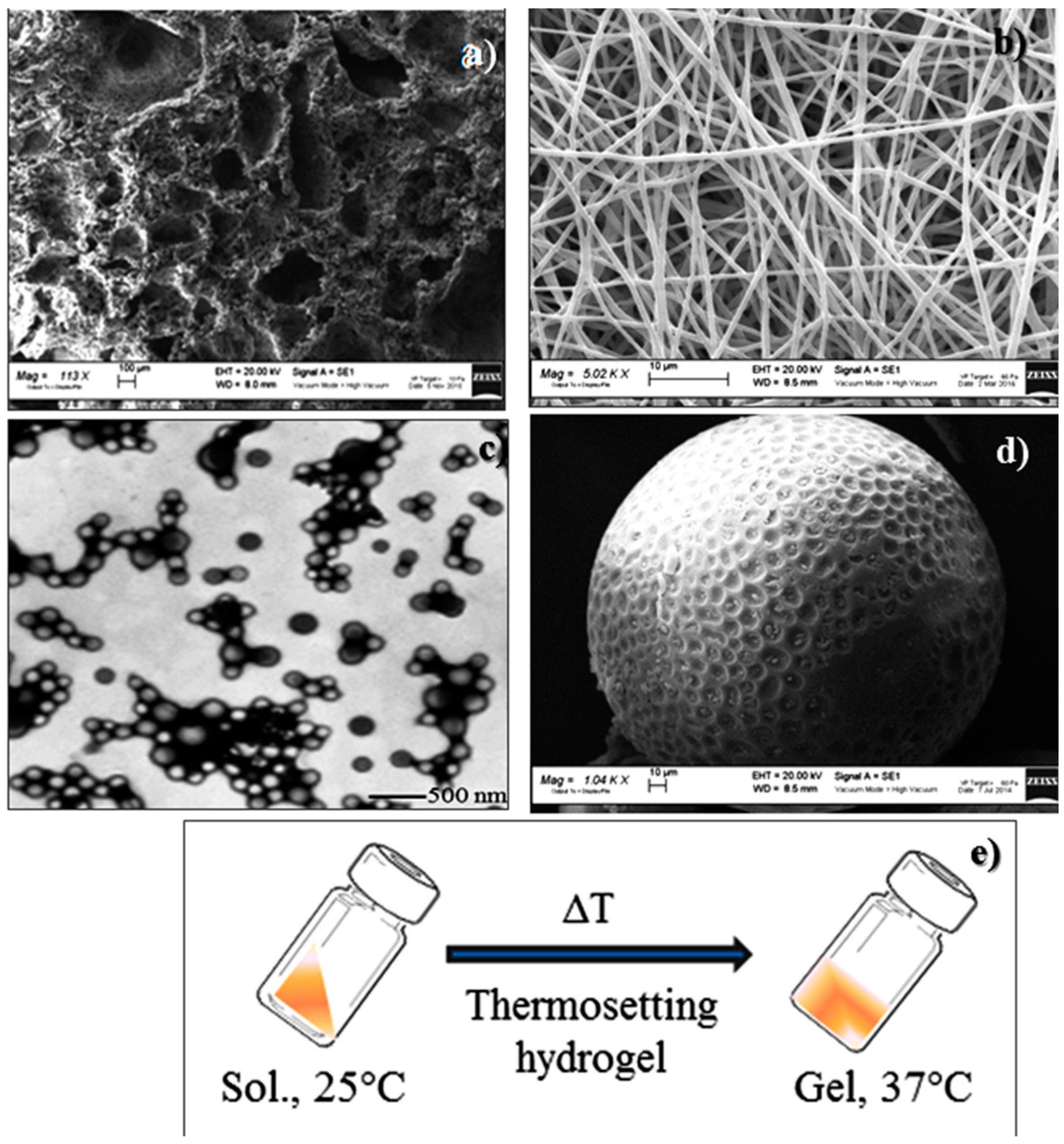 Pharmaceuticals 10 00096 g001 Pharmaceuticals 10 00096 g001