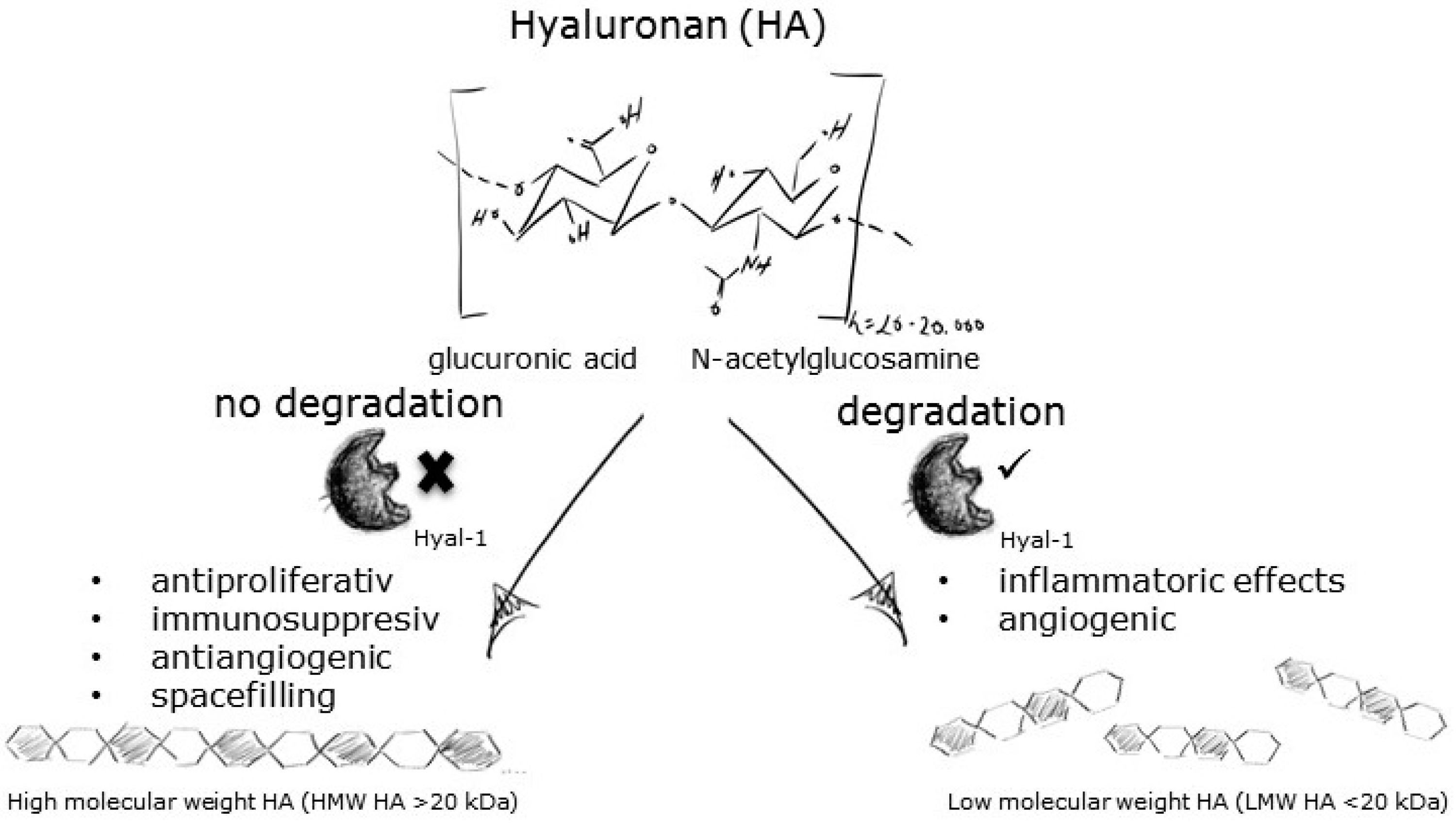 Pharmaceuticals 10 00097 i019 550