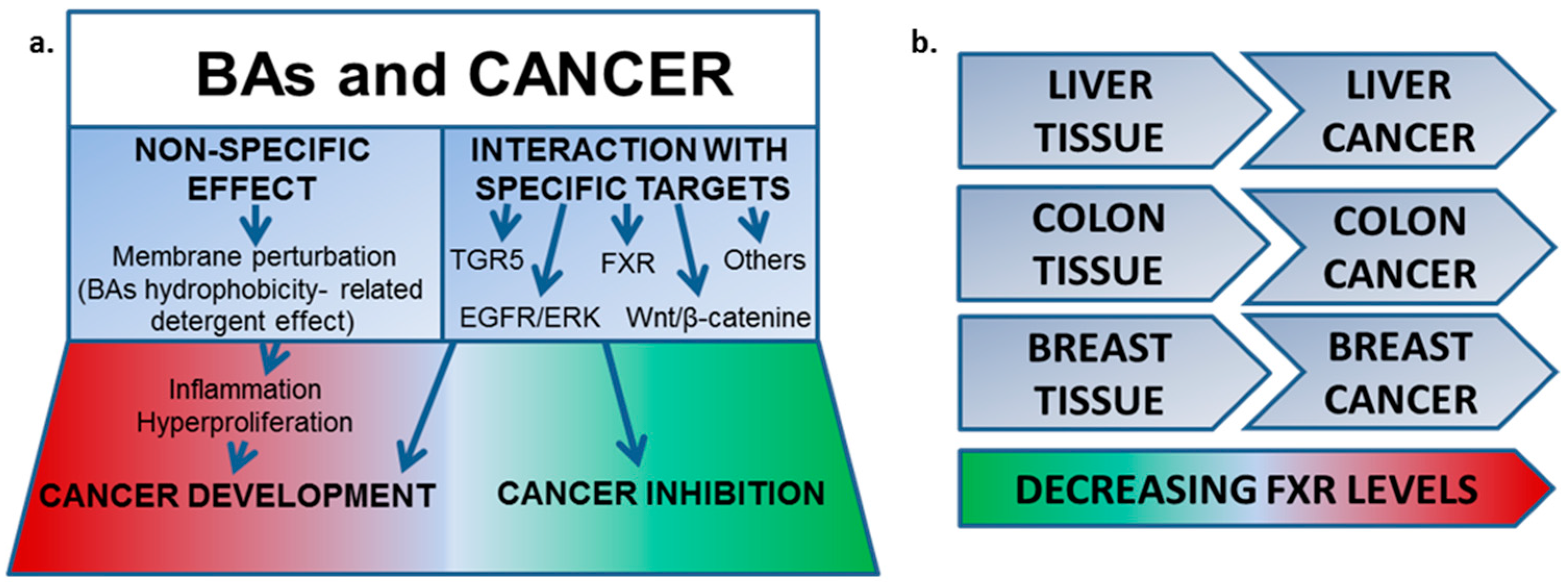 Pharmaceuticals 10 00097 i021 550