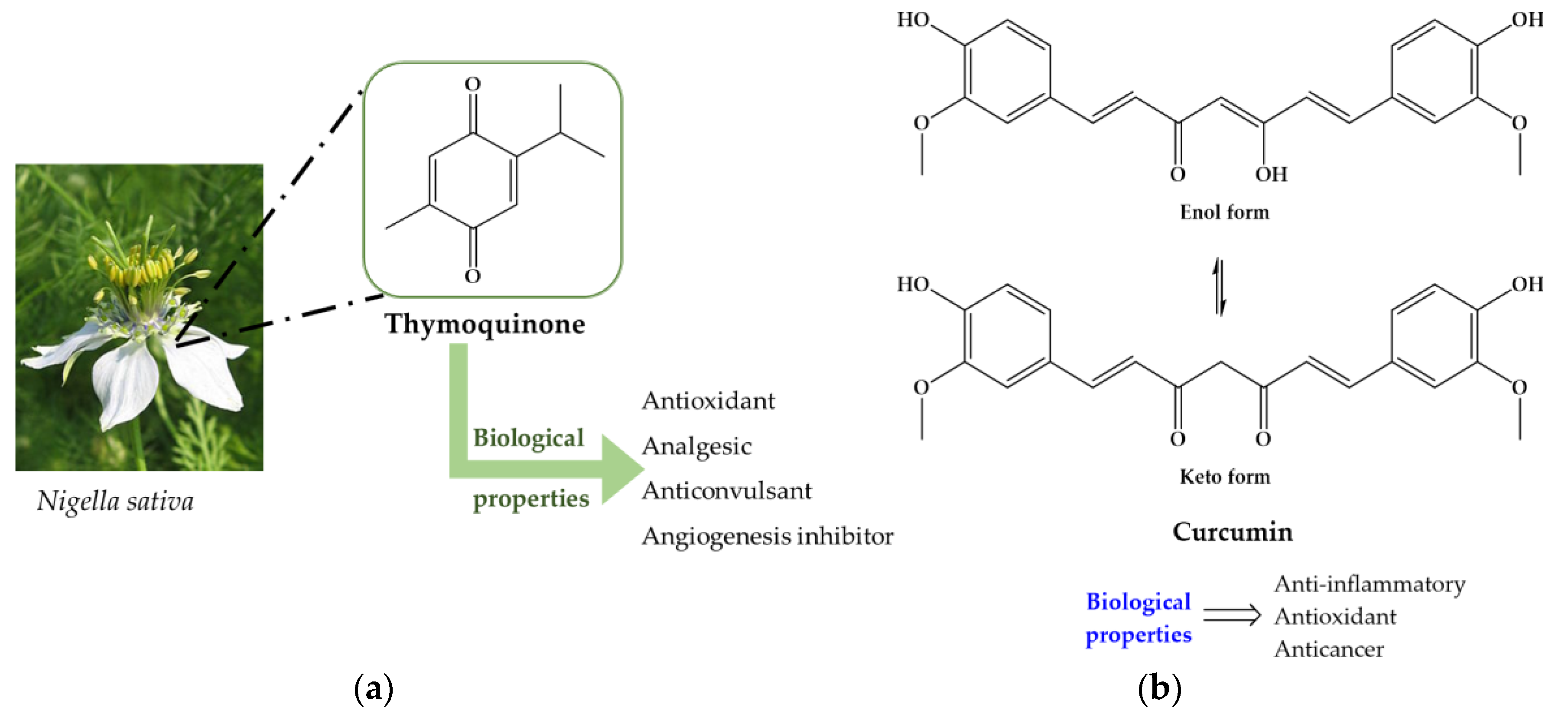 Pharmaceuticals 11 00015 g007