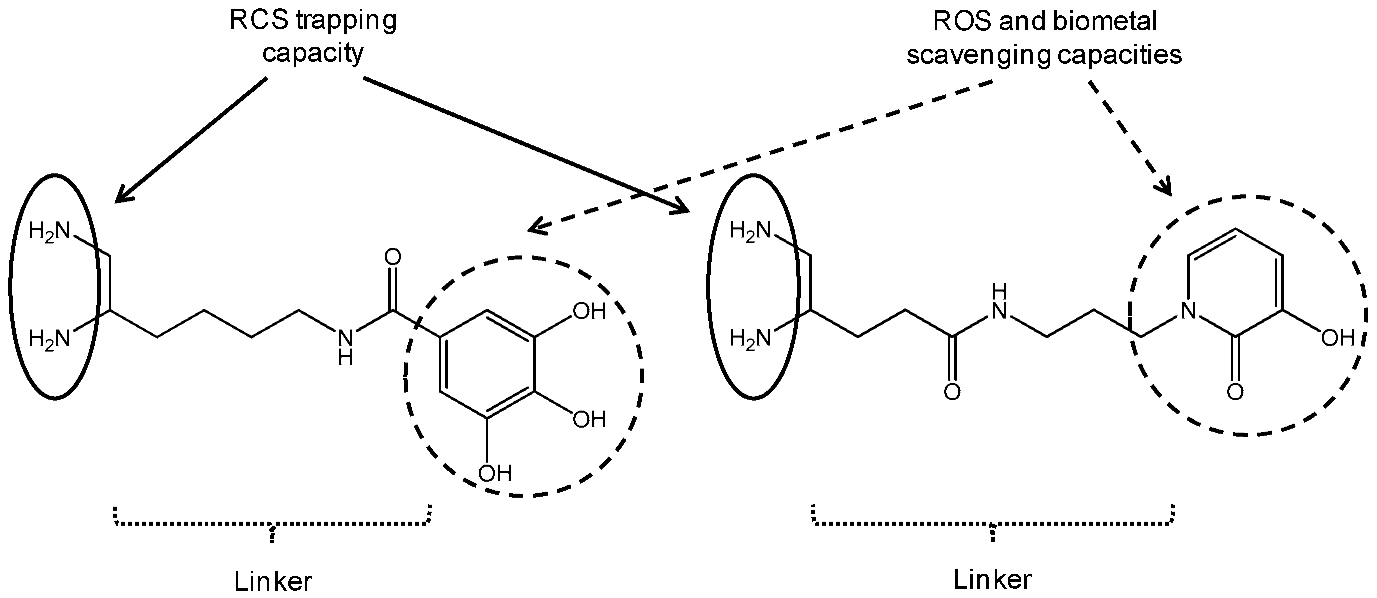 Pharmaceuticals 11 00018 i002