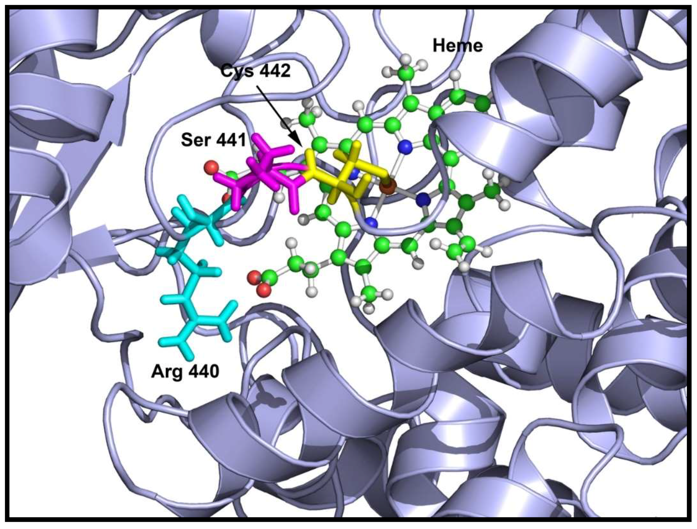 Pharmaceuticals 11 00037 g005