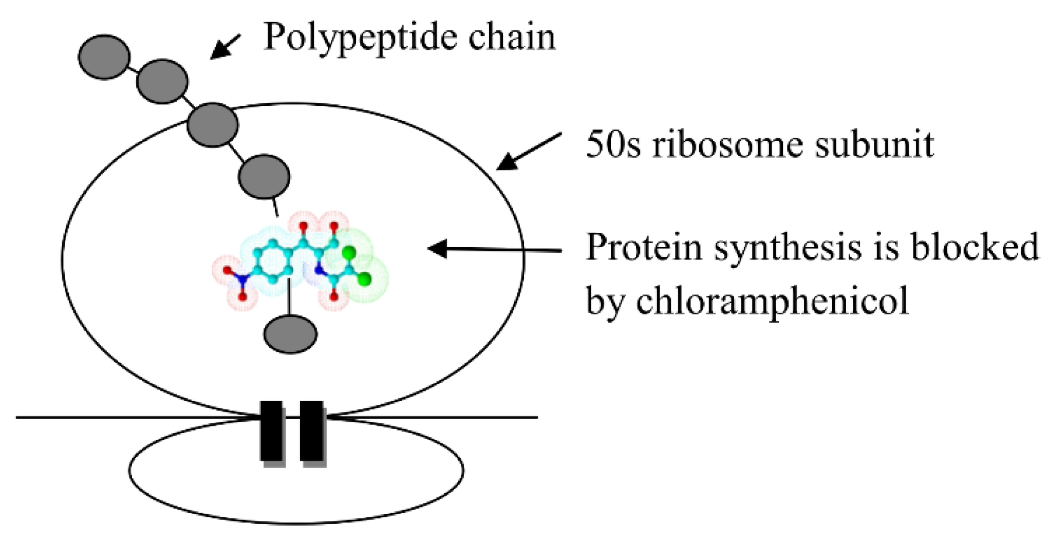 Pharmaceuticals 11 00054 sch003